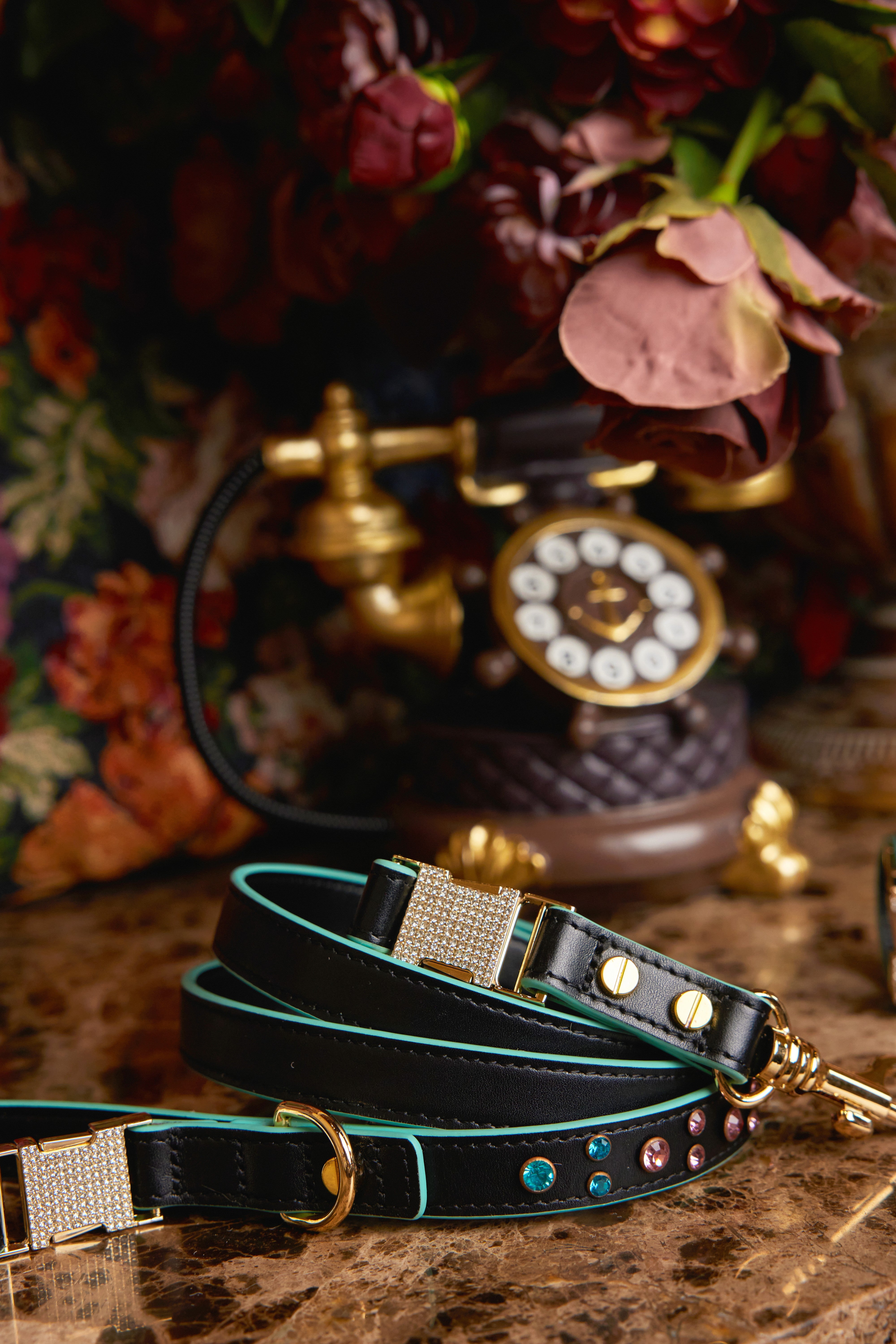 The Gilded Age · Elegant Time Leash
