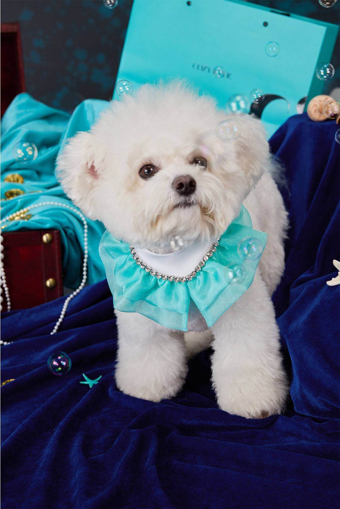 The Atlantis Floating Light Pet Bib – Organdy & Lace Elegance - COZY-EVER