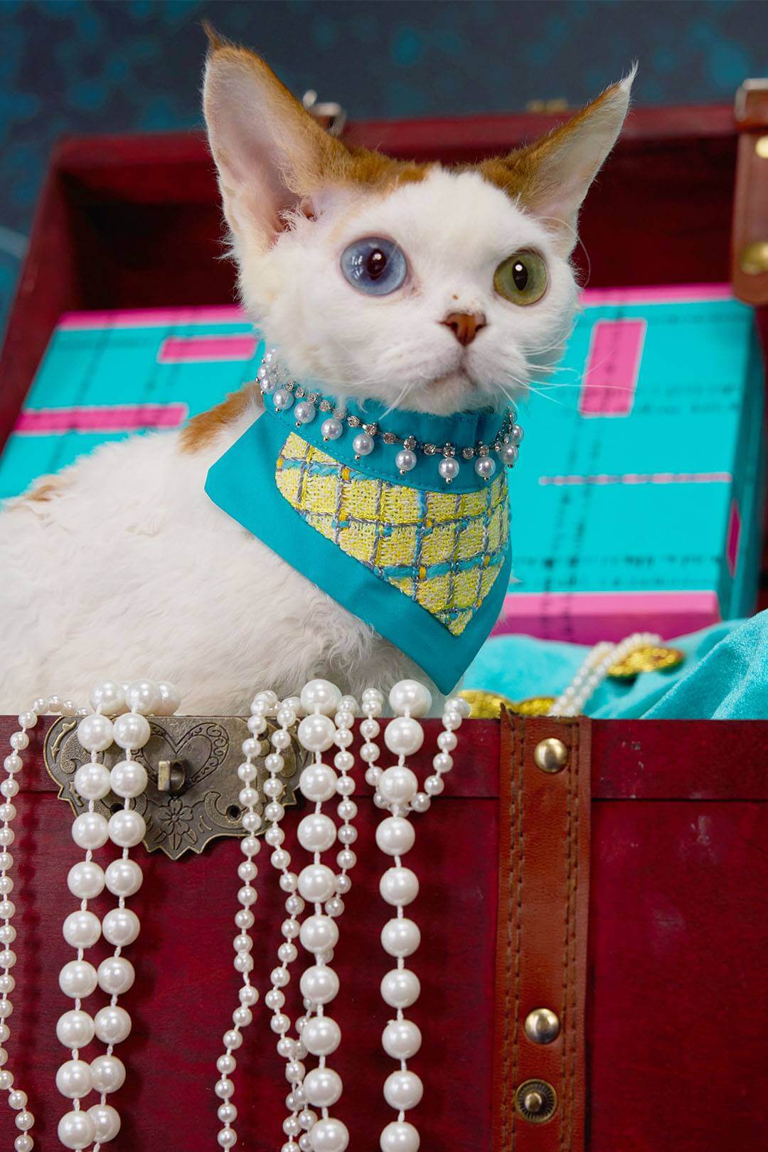 The Atlantis Hull Pet Bib – Tweed & Pearl Heart Design - COZY-EVER