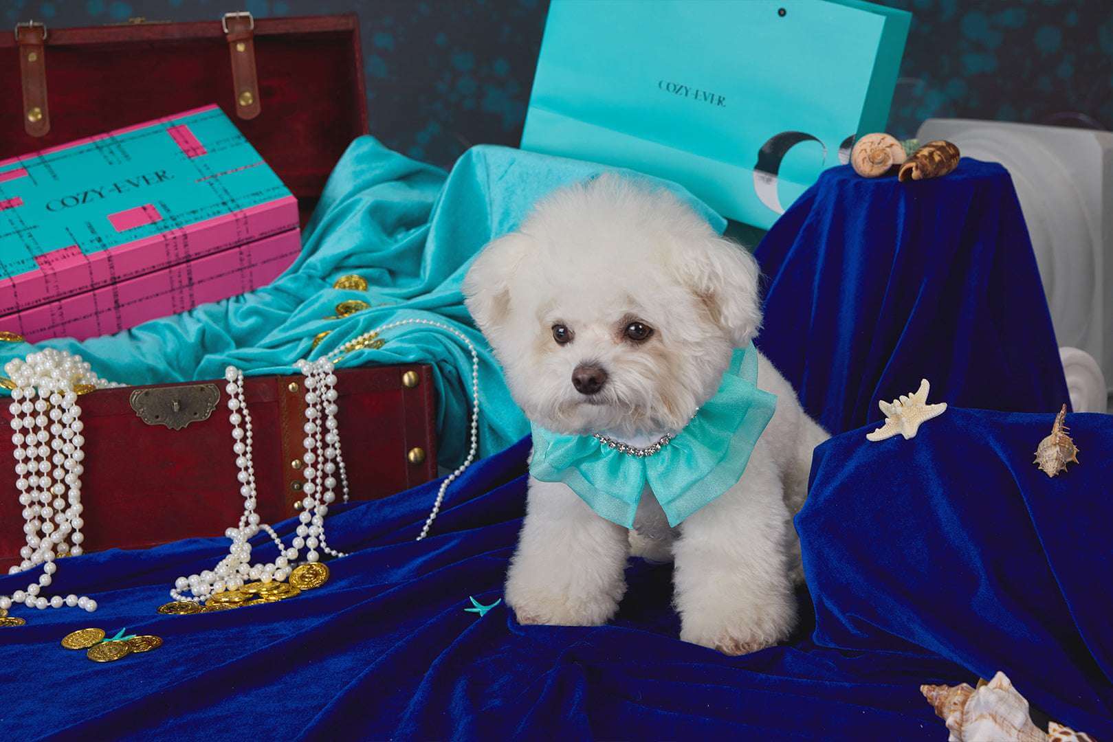 The Atlantis Floating Light Pet Bib – Organdy & Lace Elegance