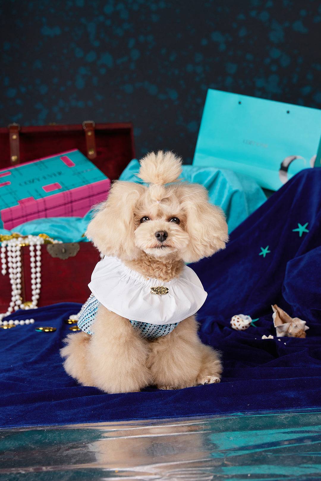 Scaly Tweed & Ruffled Collar Design Petwear|COZY-EVER