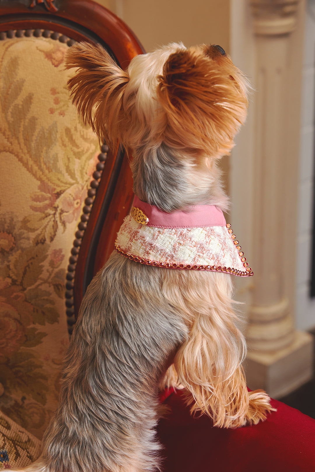 The Gilded Age · Alice Bib