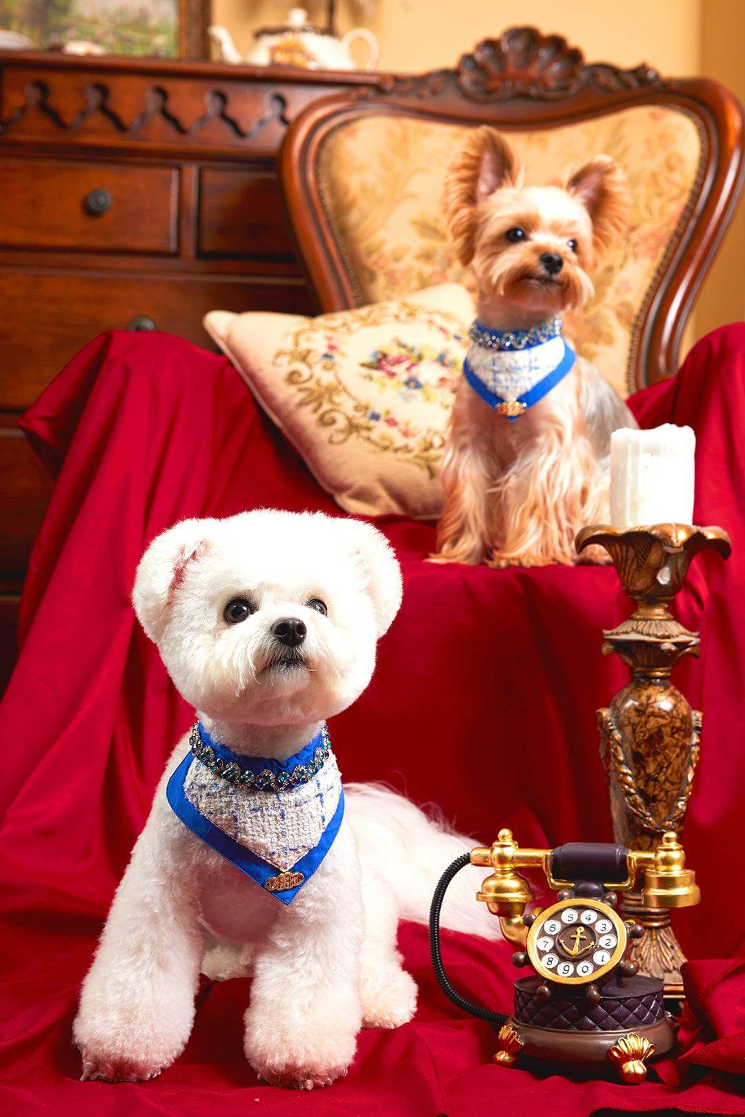 The Gilded Age Glazed Pet Bib – Tweed & Blue Rhinestone Elegance - COZY-EVER