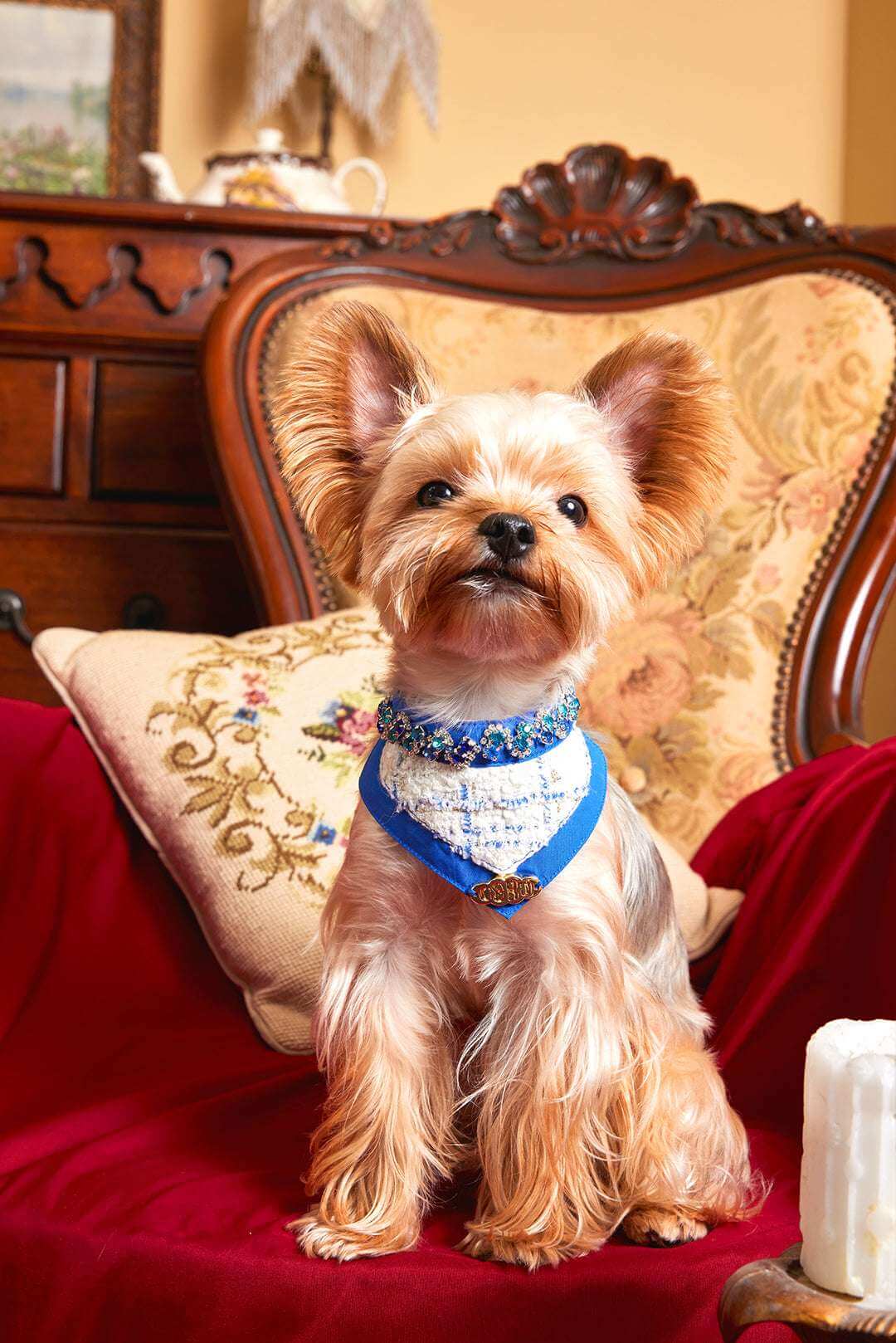 The Gilded Age Glazed Pet Bib – Tweed & Blue Rhinestone Elegance - COZY-EVER