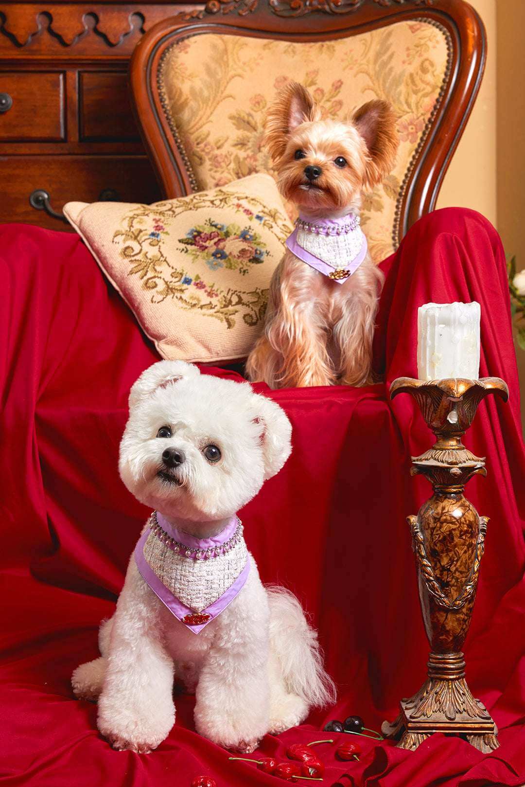 The Gilded Age South French Pet Bib – Tweed & Pearl Elegance - COZY-EVER