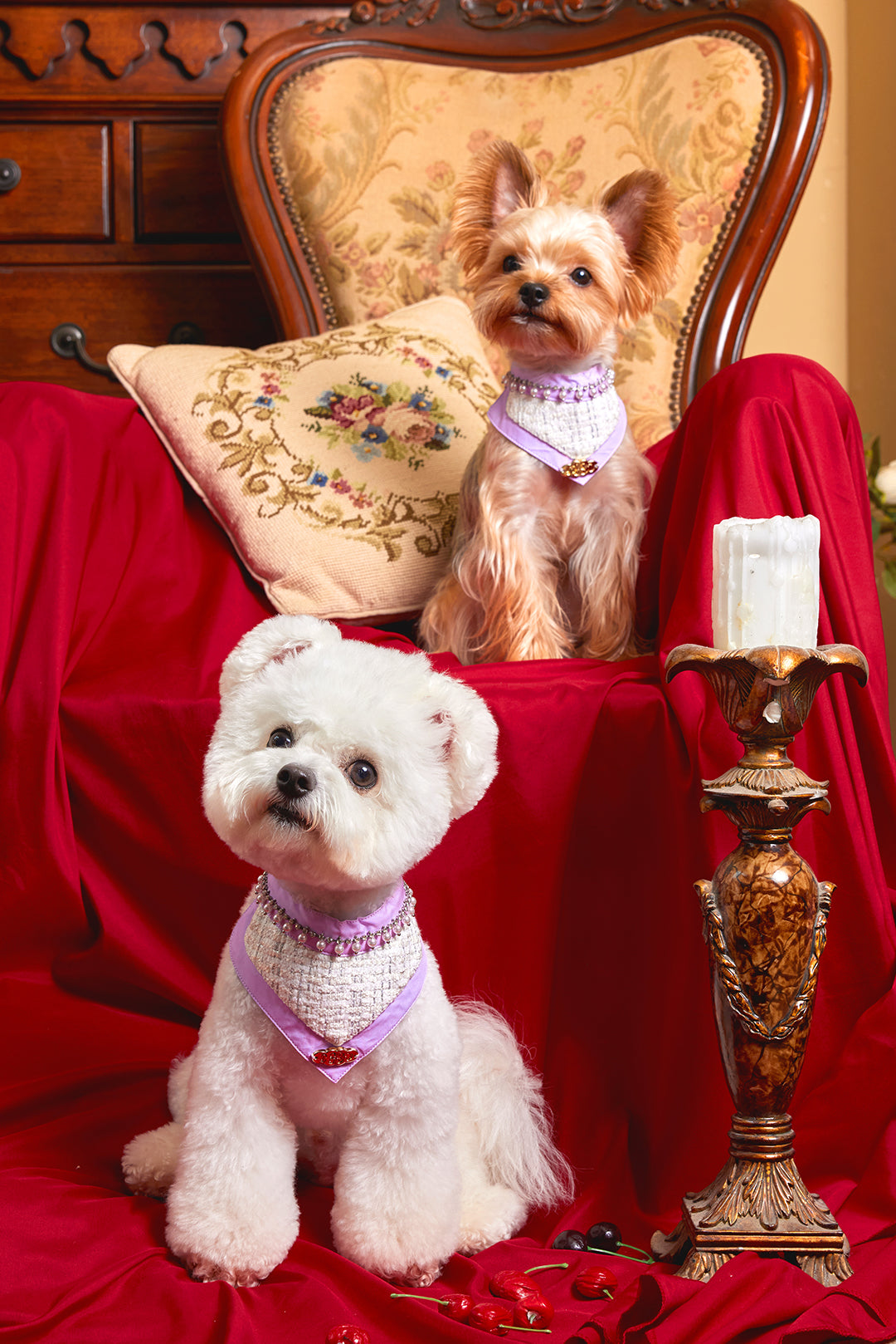 The Gilded Age · South French Bib