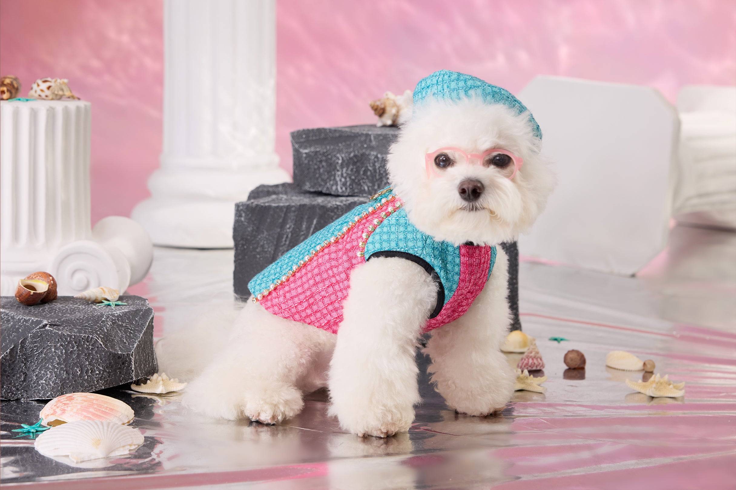 The Atlantis Poseidon's Romance Pet Clothing - Seafoam Tweed & Rhinestone Line Detail - COZY-EVER