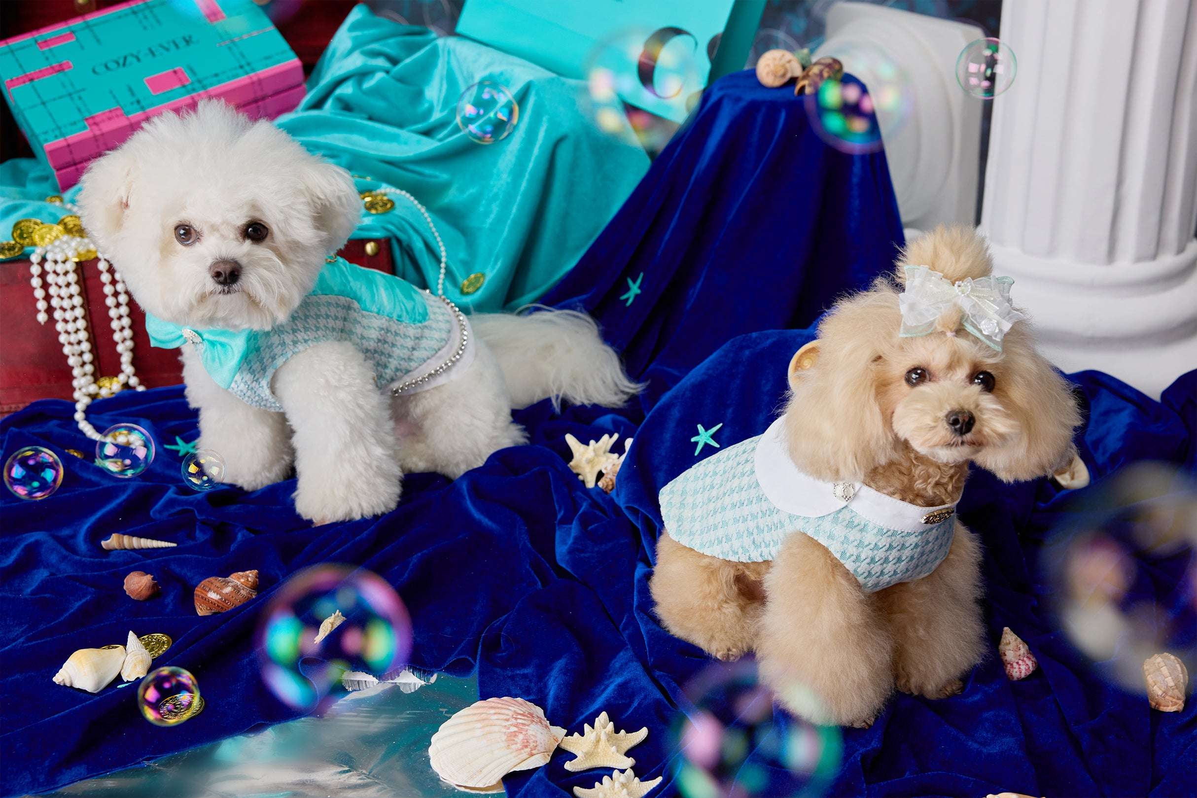 Clear Blue Tweed & Shimmering Ripple Petwear|COZY-EVER