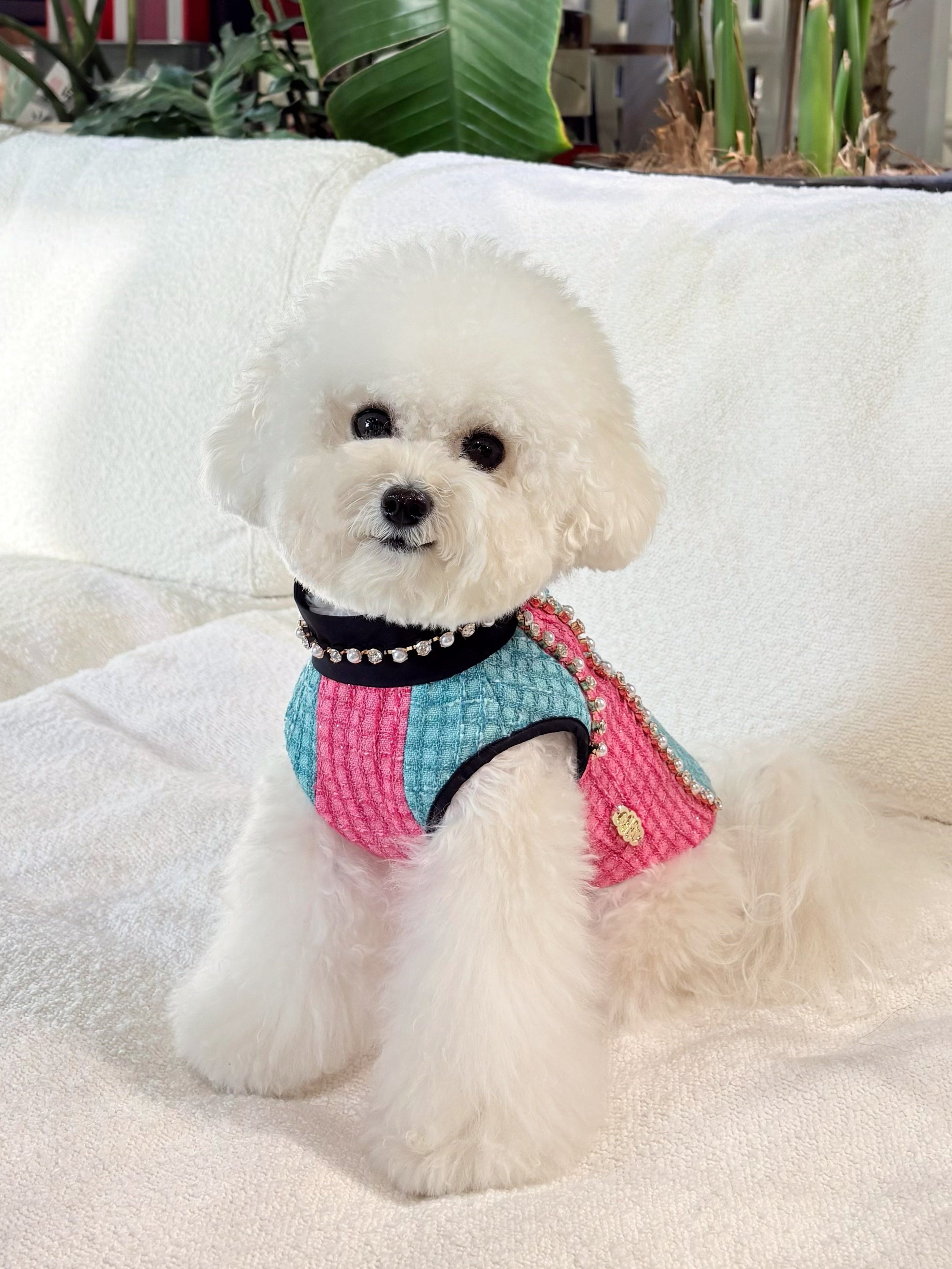 The Atlantis Poseidon's Romance Pet Clothing - Seafoam Tweed & Rhinestone Line Detail