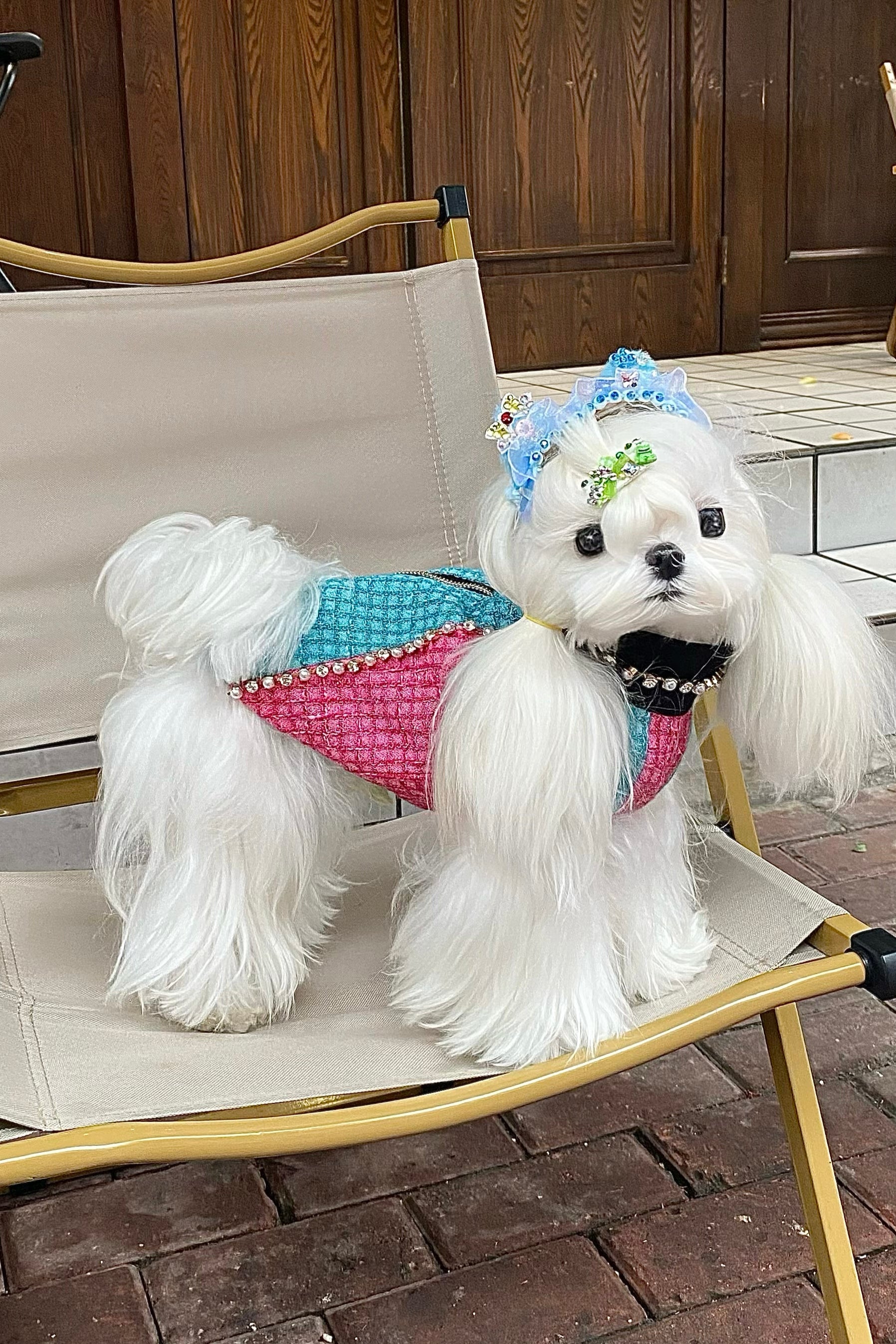 The Atlantis Poseidon's Romance Pet Clothing - Seafoam Tweed & Rhinestone Line Detail