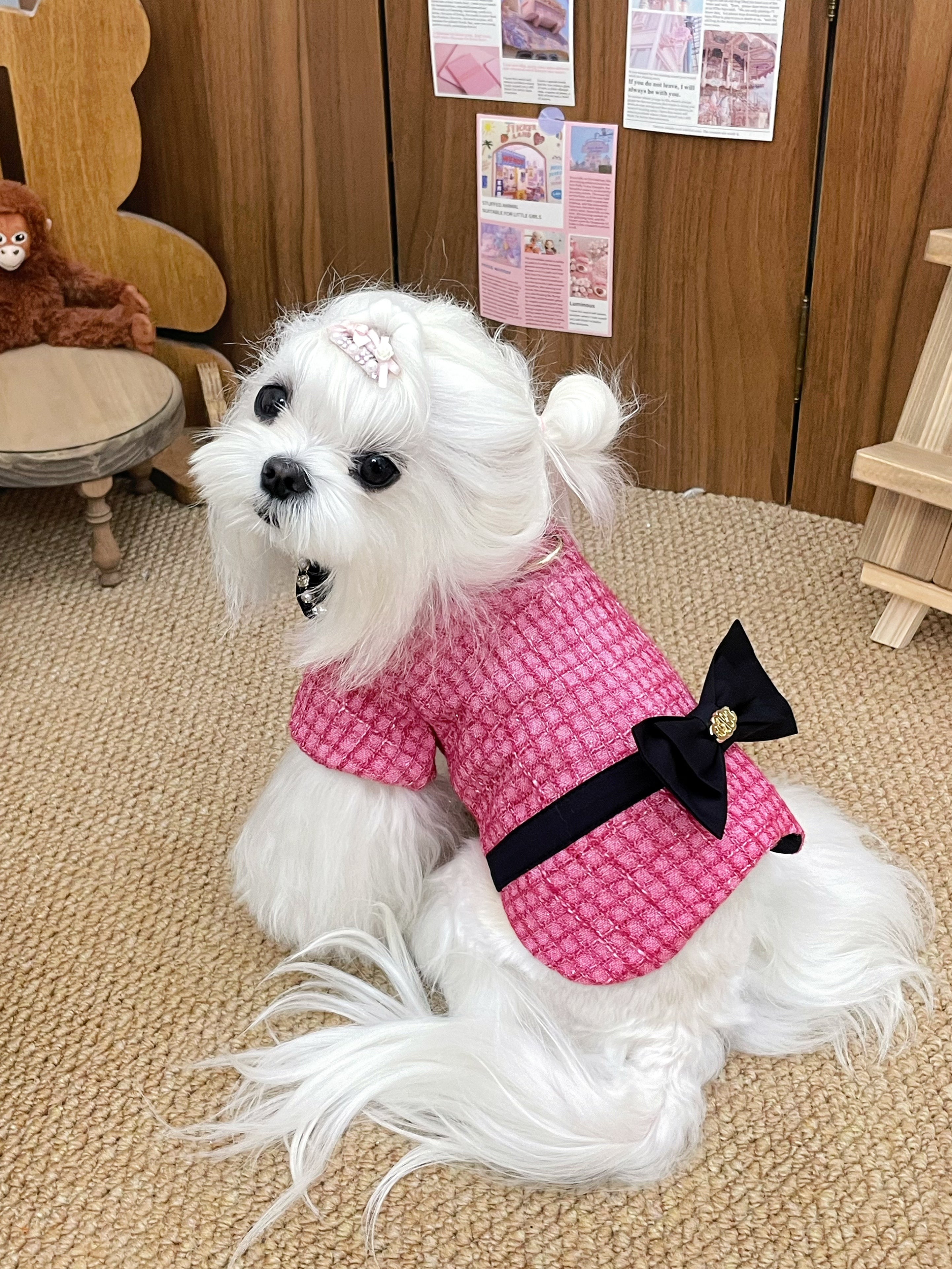 The Atlantis Pearl Crate Pet Clothing - Tweed & Sparkling Rhinestone Chain