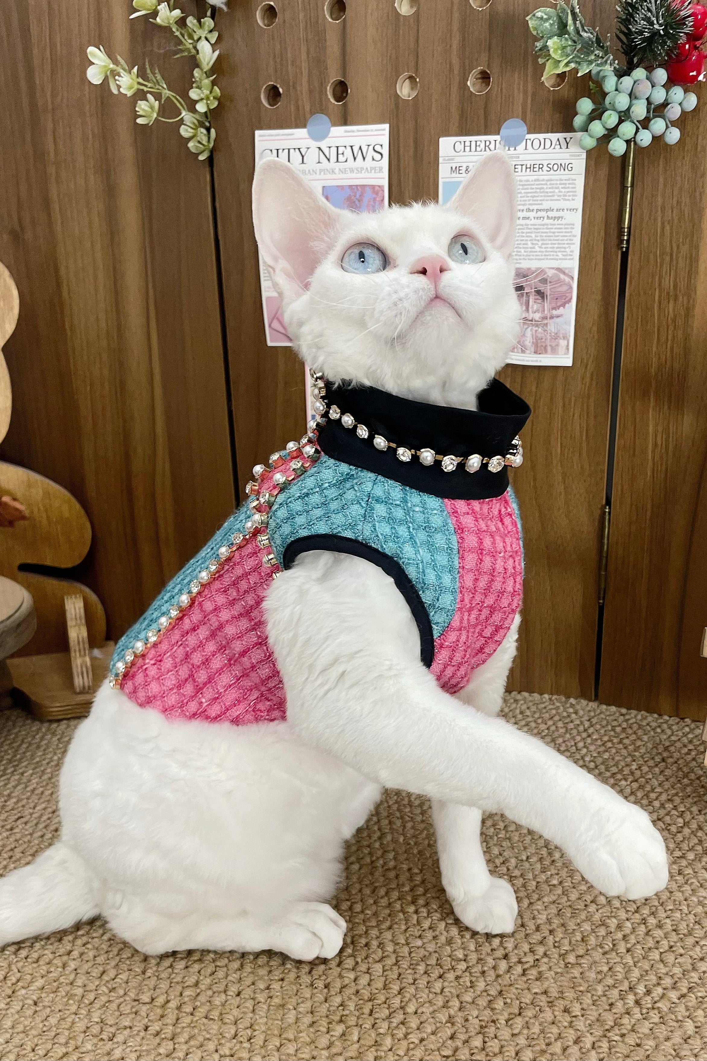 The Atlantis Poseidon's Romance Pet Clothing - Seafoam Tweed & Rhinestone Line Detail