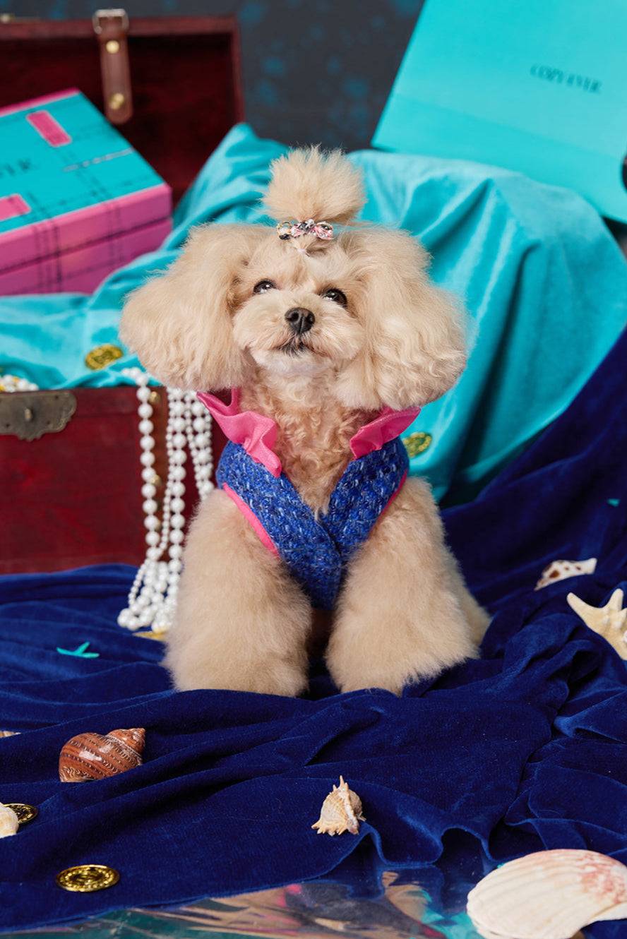 Deep Blue Tweed & Eternal Heart Design Petwear|COZY-EVER
