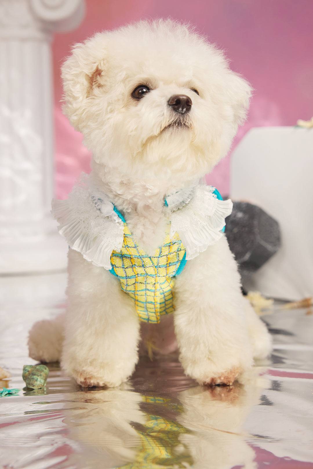 Yellow Tweed & Winged Speed Detail Petwear|COZY-EVER