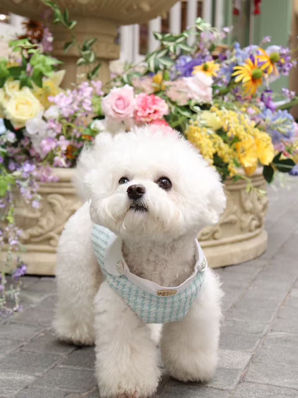 The Atlantis Apple Of My Eye Pet Clothing - Tweed & Rhinestone Button Accent