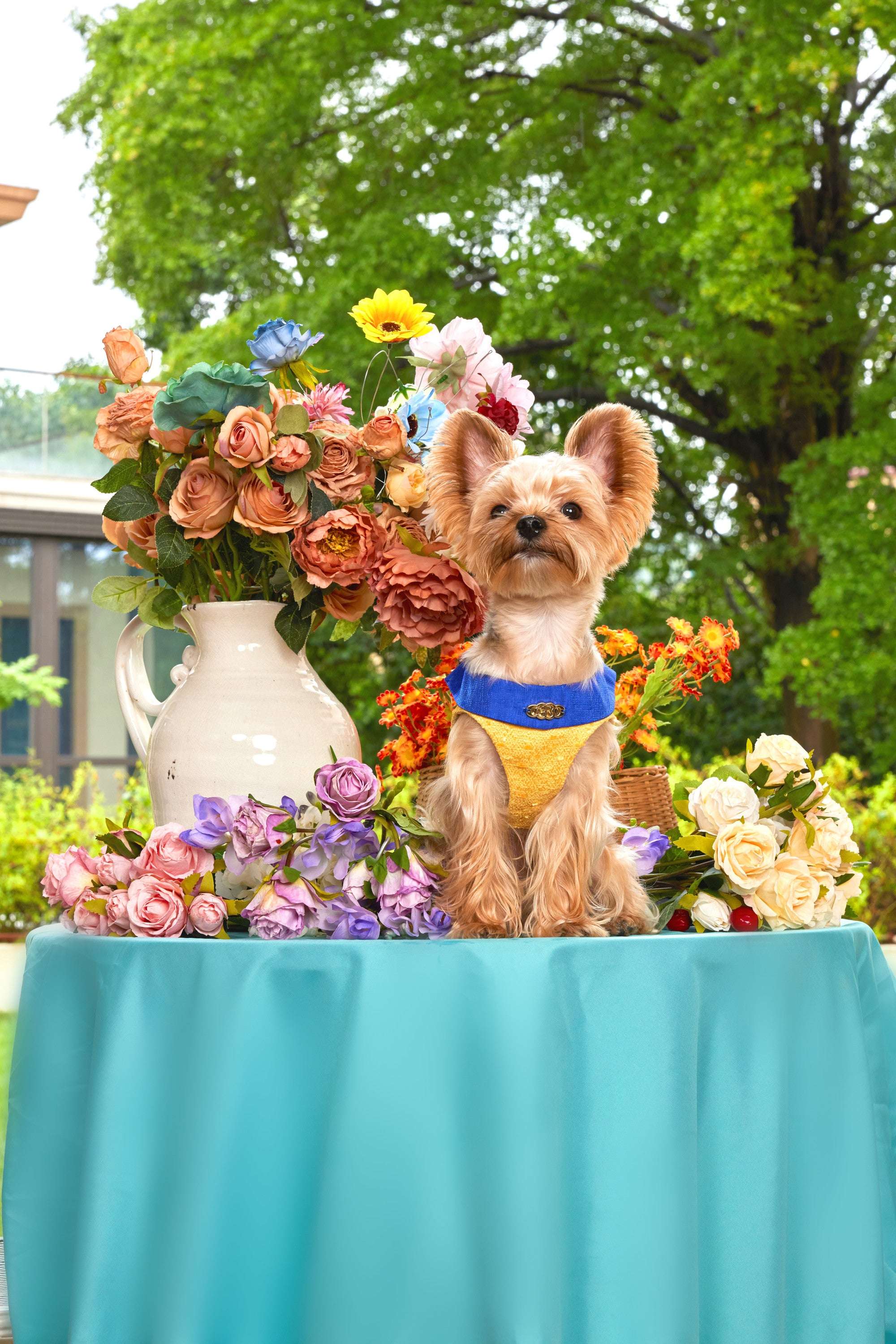 The Romantic Garden・Garden Party - COZY-EVER