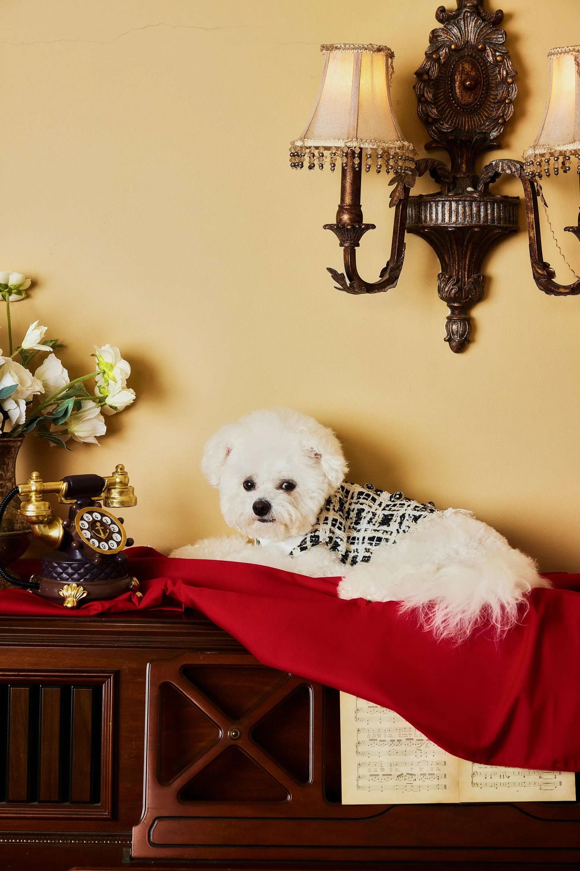 The Gilded Age・Rhapsody Of Shattered Gold - COZY-EVER