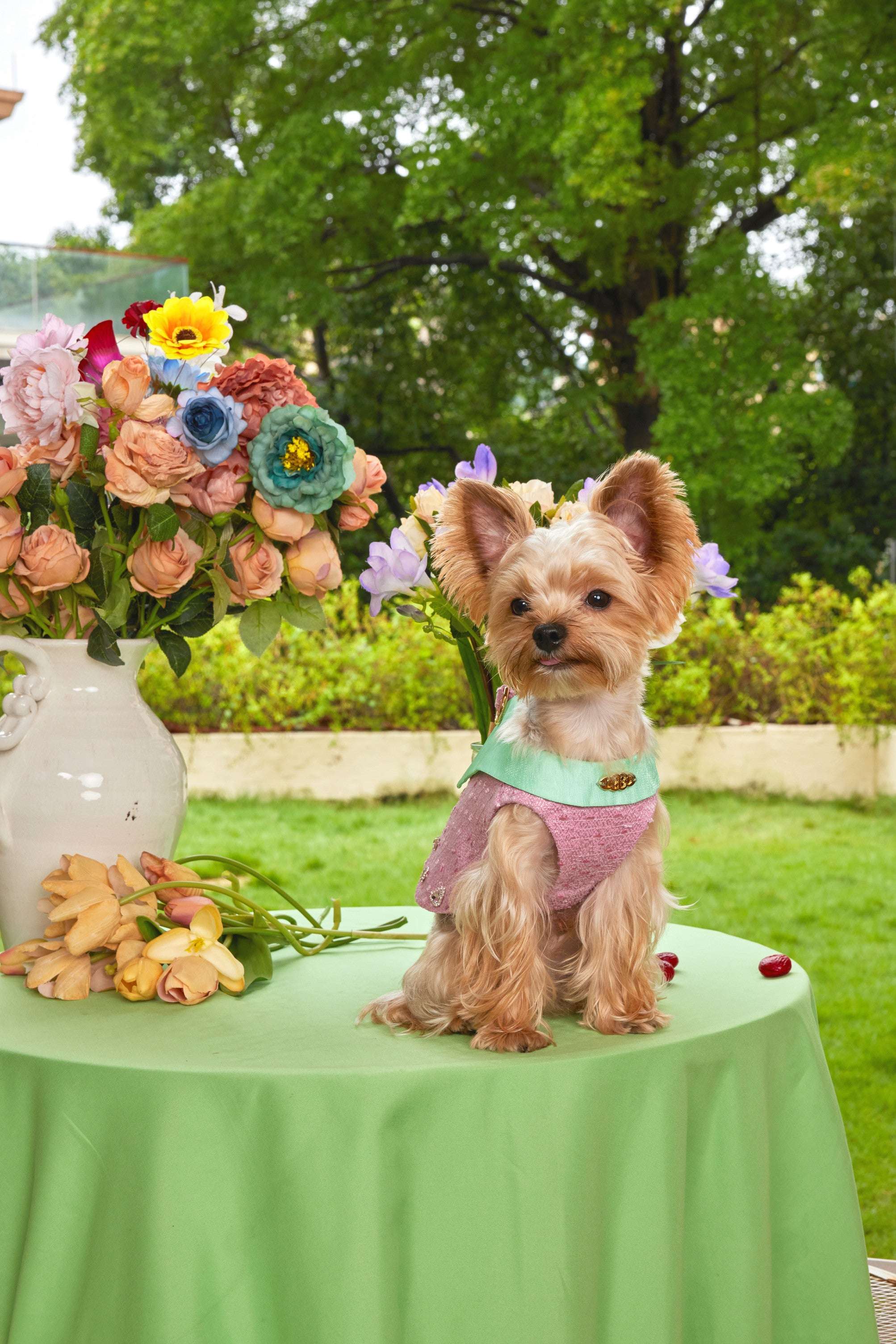 The Romantic Garden・Romantic Overture - COZY-EVER