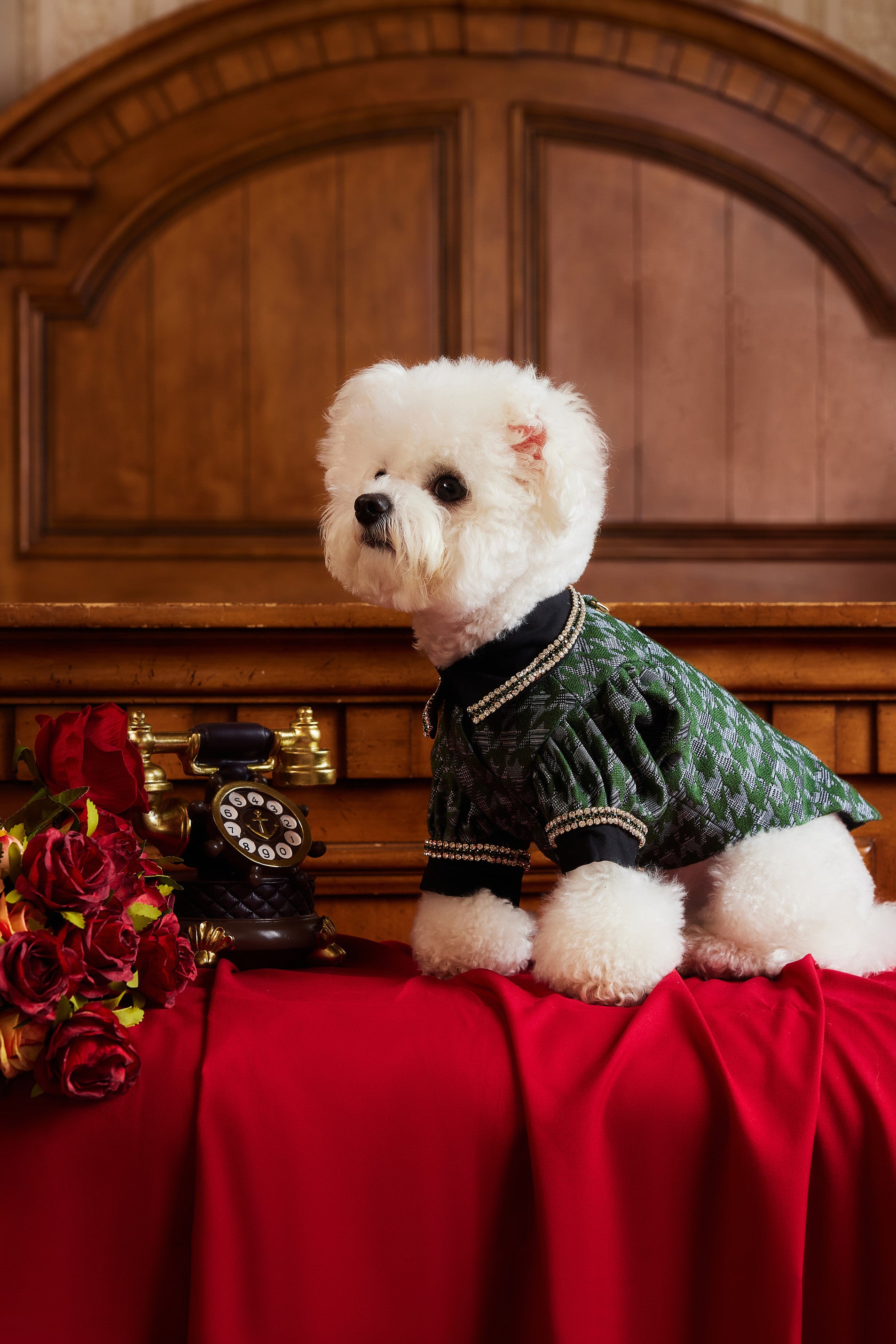 The Gilded Age・Enthralled By The Emerald Coolness