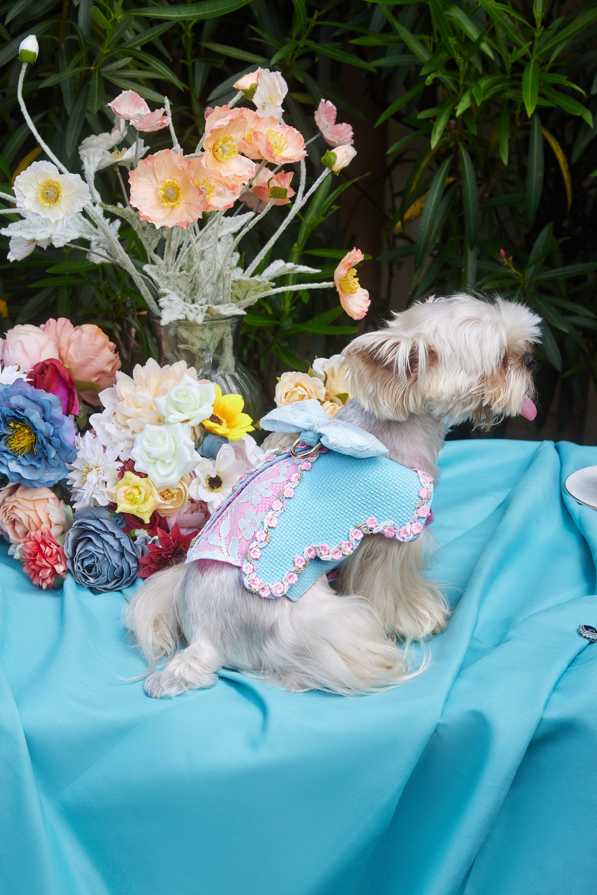 The Romantic Garden・Floral Wonderland