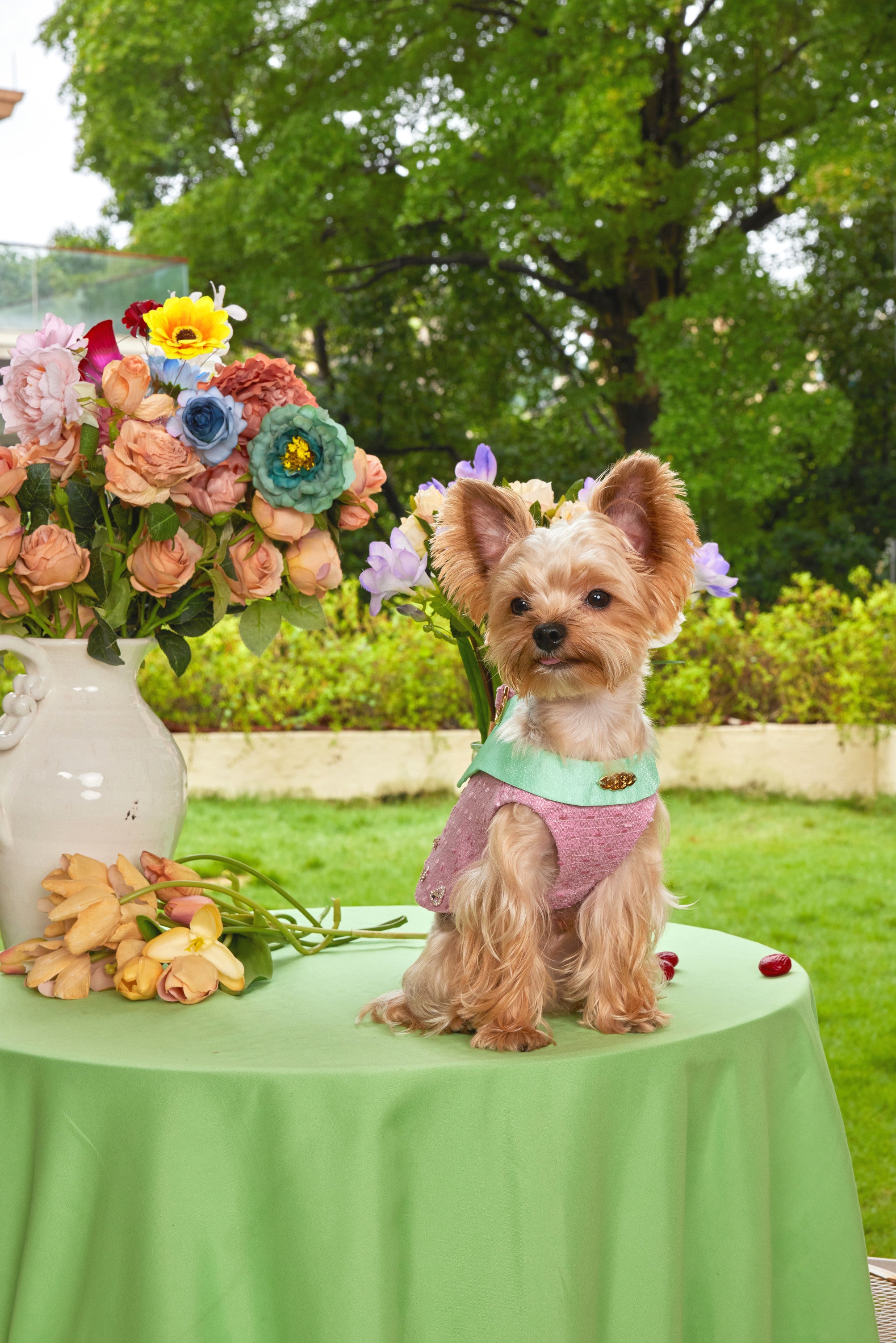 The Romantic Garden・Romantic Overture