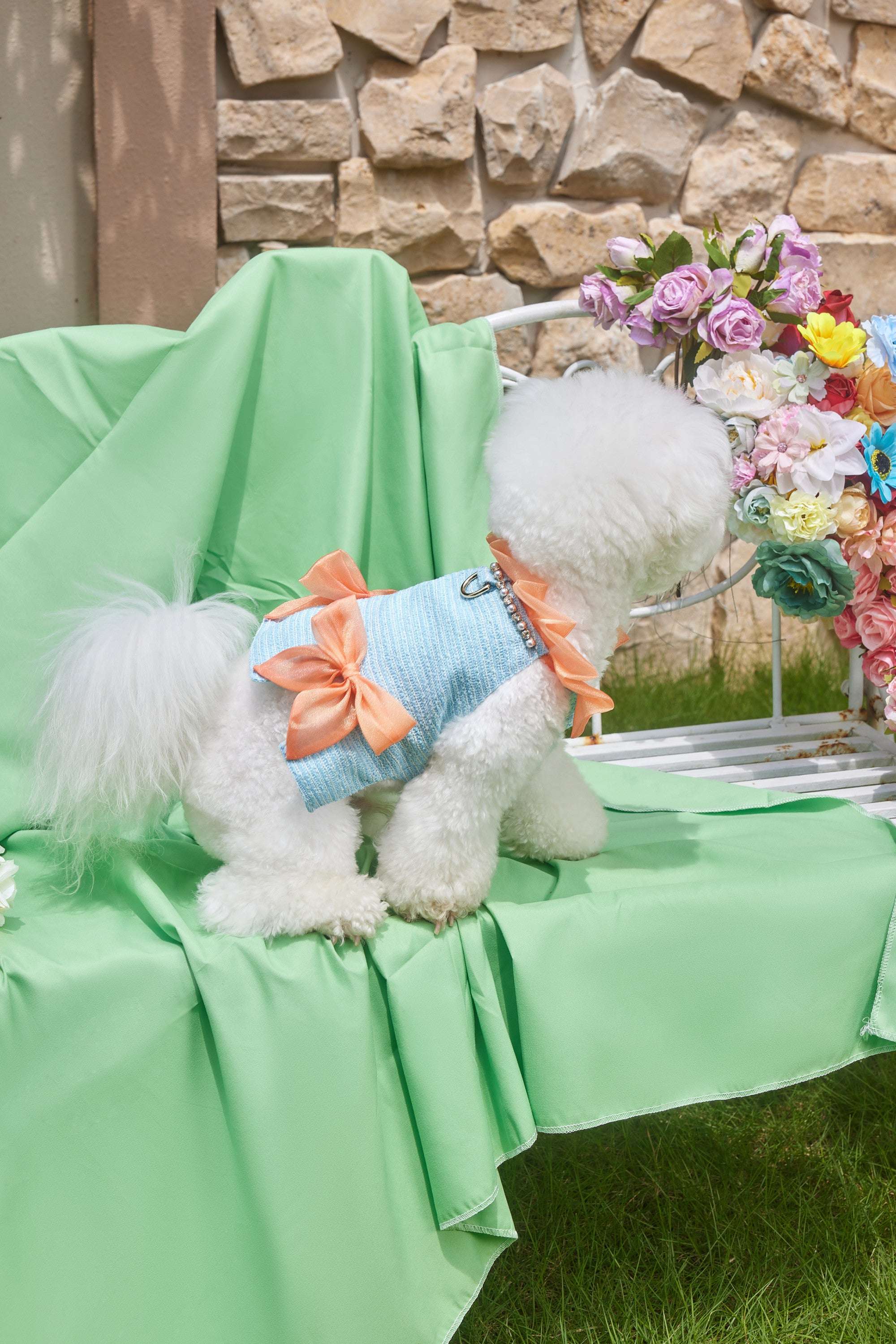 The Romantic Garden・Orange Tail Princess - COZY-EVER
