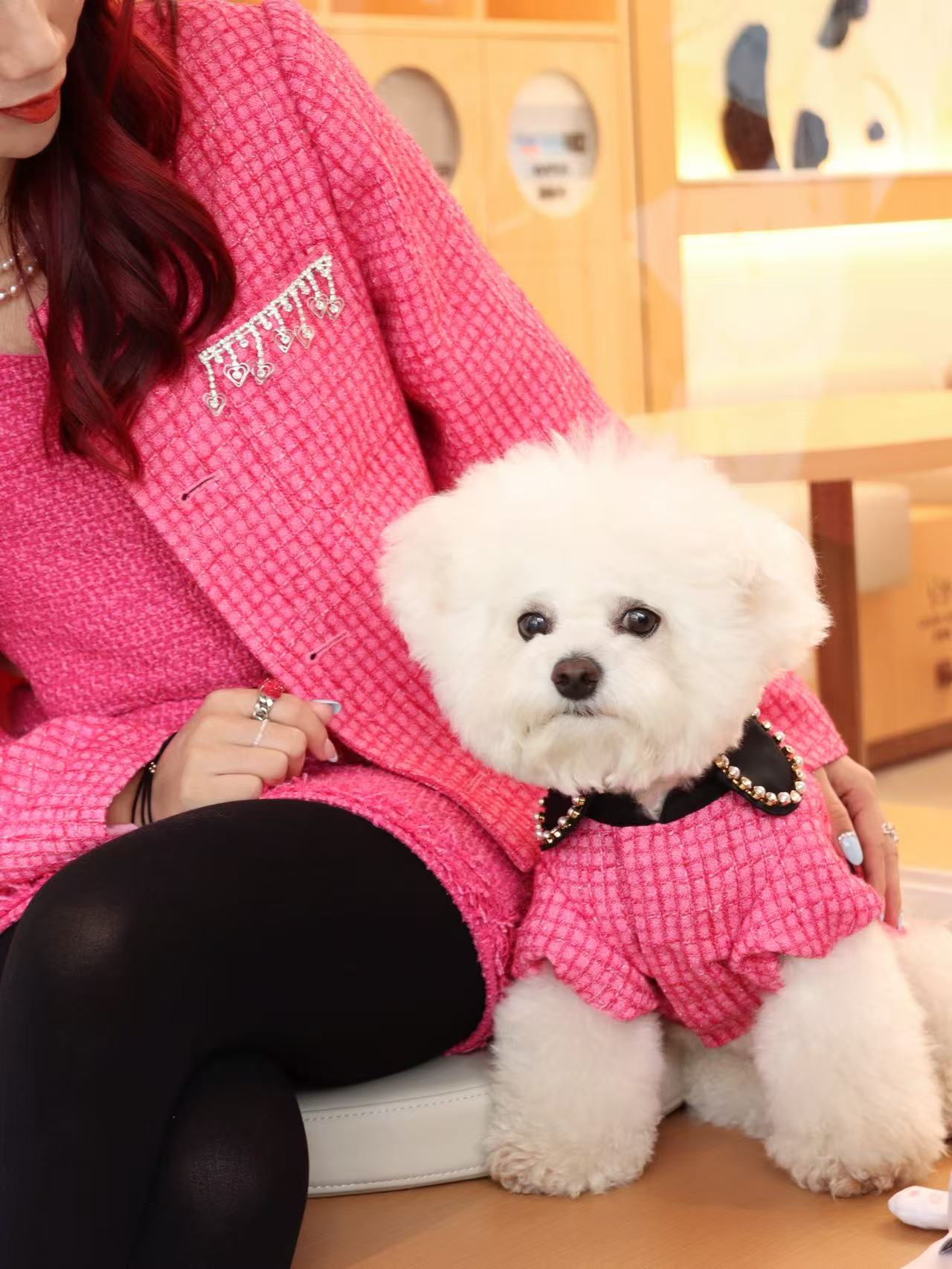 The Atlantis Pearl Crate Pet Clothing - Tweed & Sparkling Rhinestone Chain