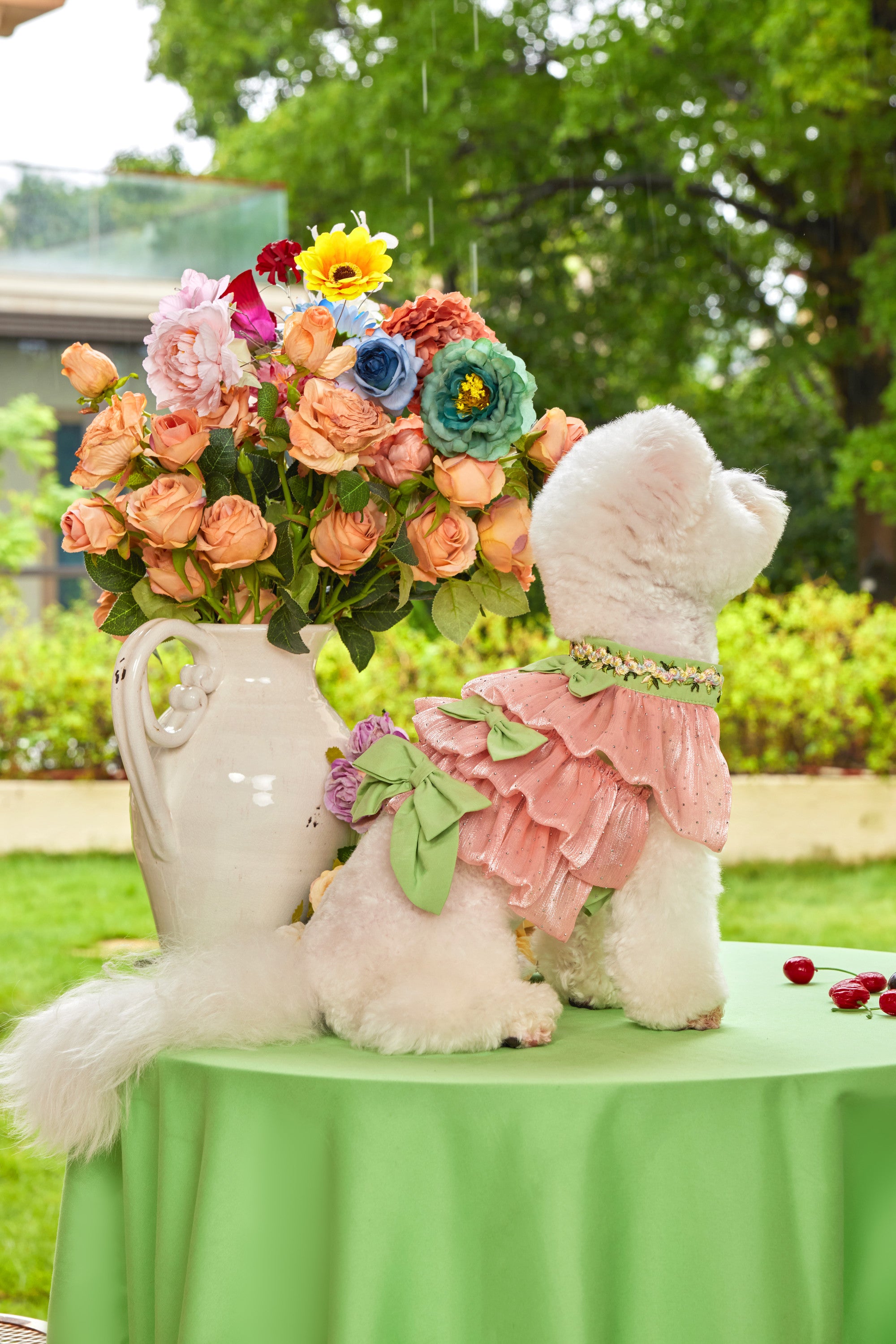 The Romantic Garden・Eden's Dream