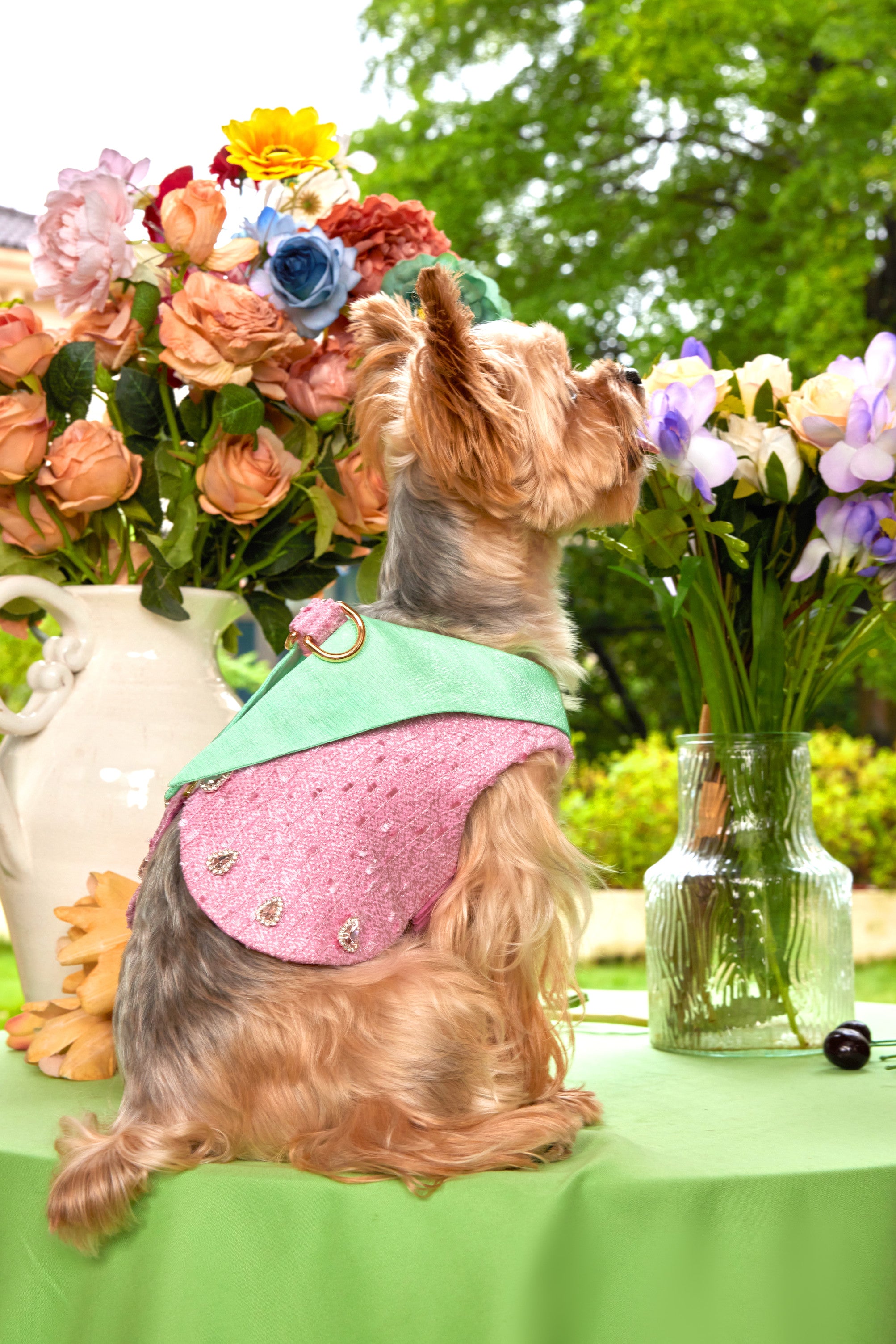 The Romantic Garden・Romantic Overture