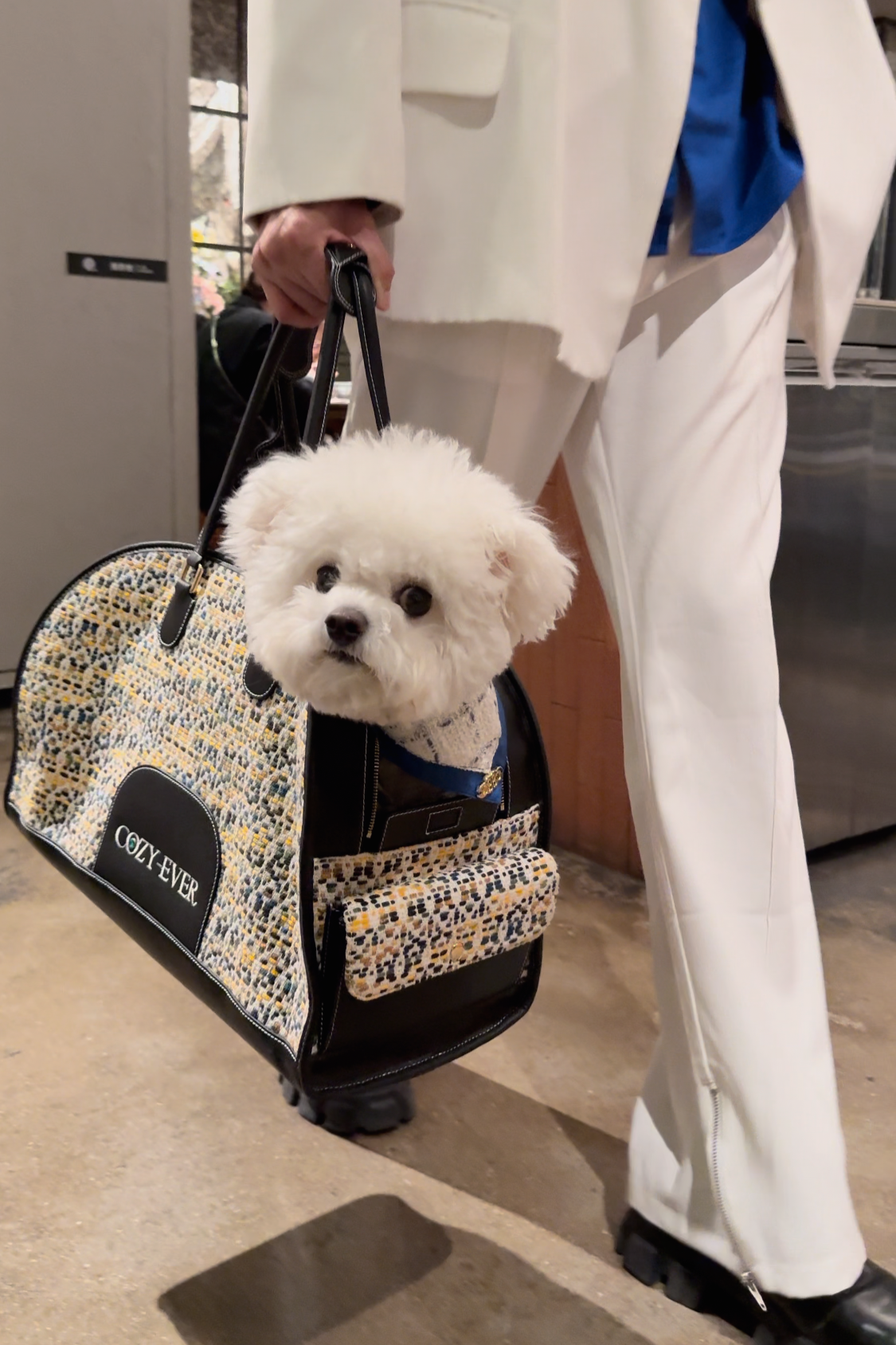 Yellow Tweed & Black Microfiber Pet Carrier | Dance on Broadway