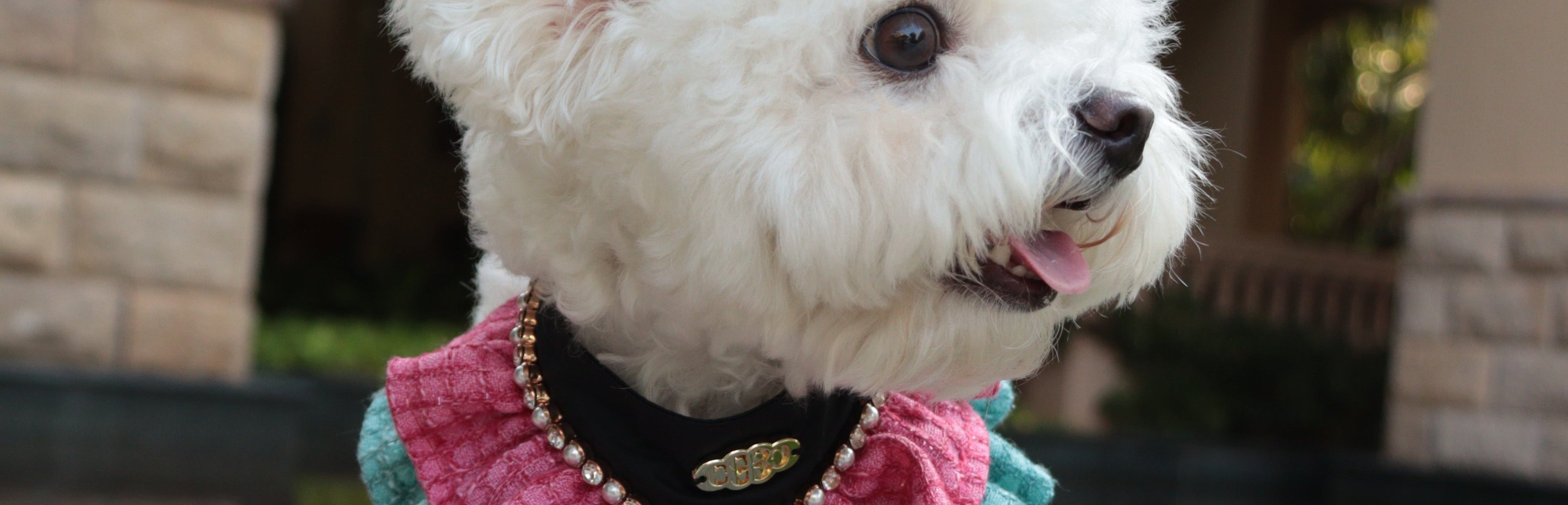 The Atlantis Romance Pet Bib – Tweed & Lace Elegance - COZY-EVER