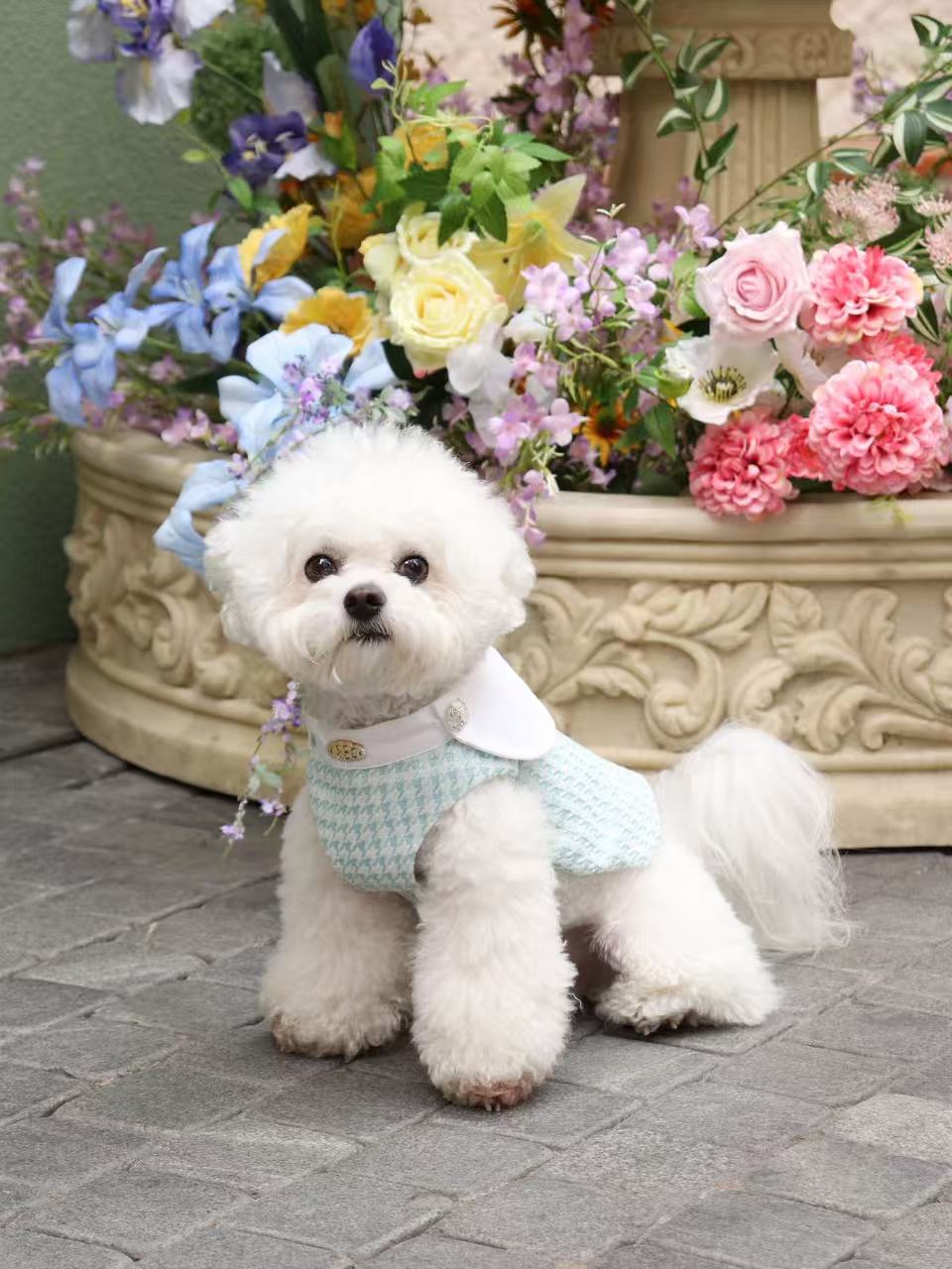 The Atlantis Apple Of My Eye Pet Clothing - Tweed & Rhinestone Button Accent
