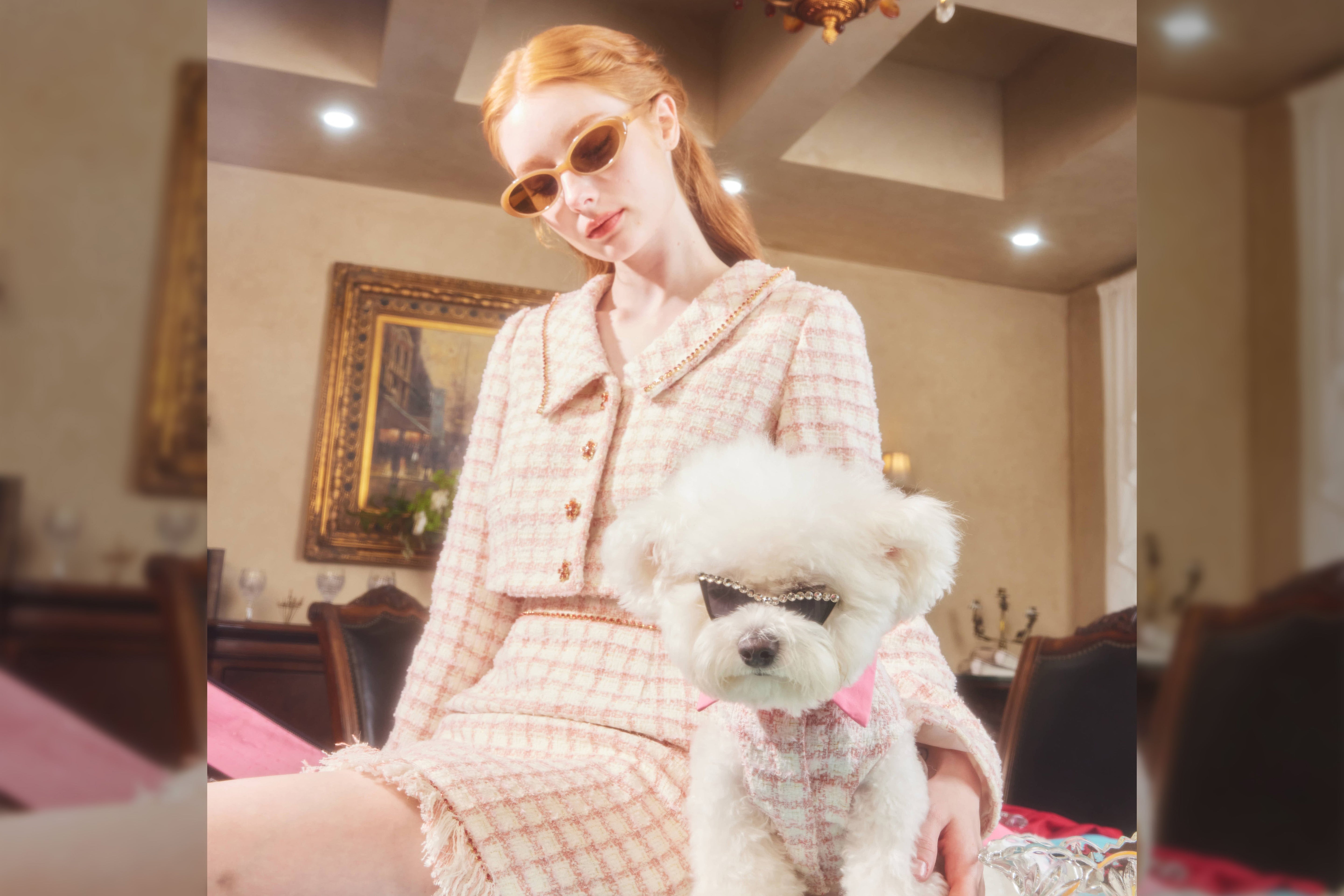 Why You and Your Pet Deserve Haute Couture