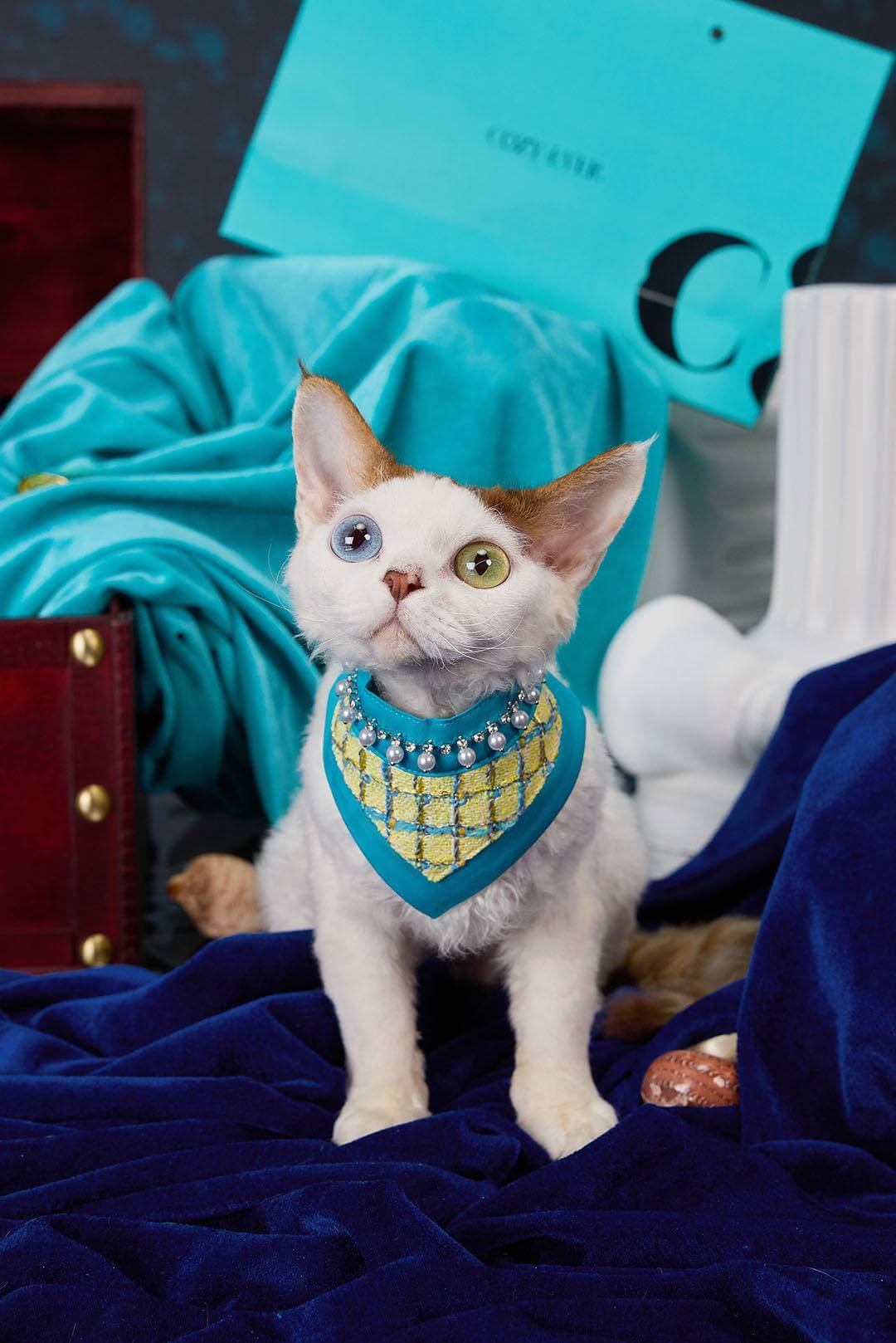 The Atlantis Hull Pet Bib – Tweed & Pearl Heart Design - COZY-EVER
