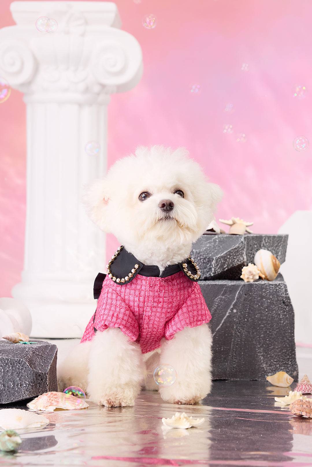 Tweed & Sparkling Rhinestone Chain Petwear｜COZY-EVER