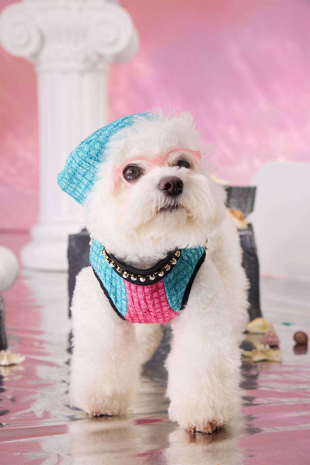 The Atlantis Poseidon's Romance Pet Clothing - Seafoam Tweed & Rhinestone Line Detail - COZY-EVER