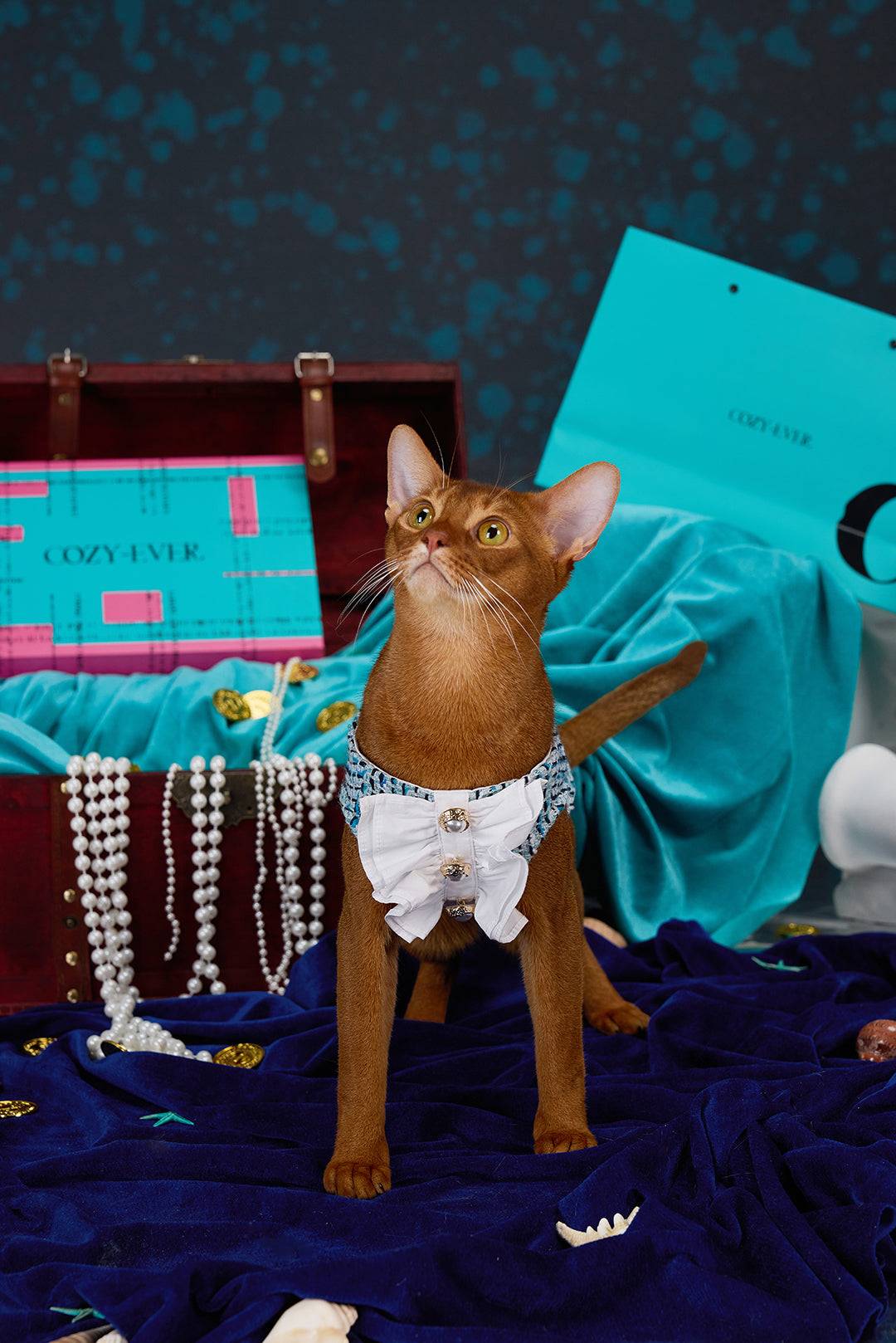 Scaly Tweed & Prince Collar Petwear｜COZY-EVER