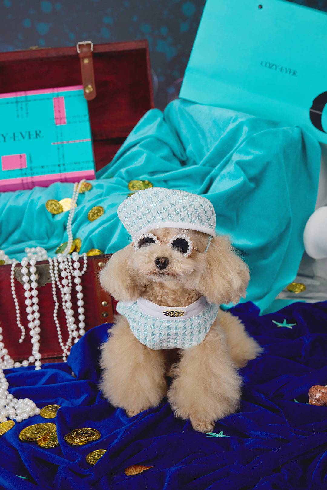Tweed & Rhinestone Button Accent Petwear｜COZY-EVER