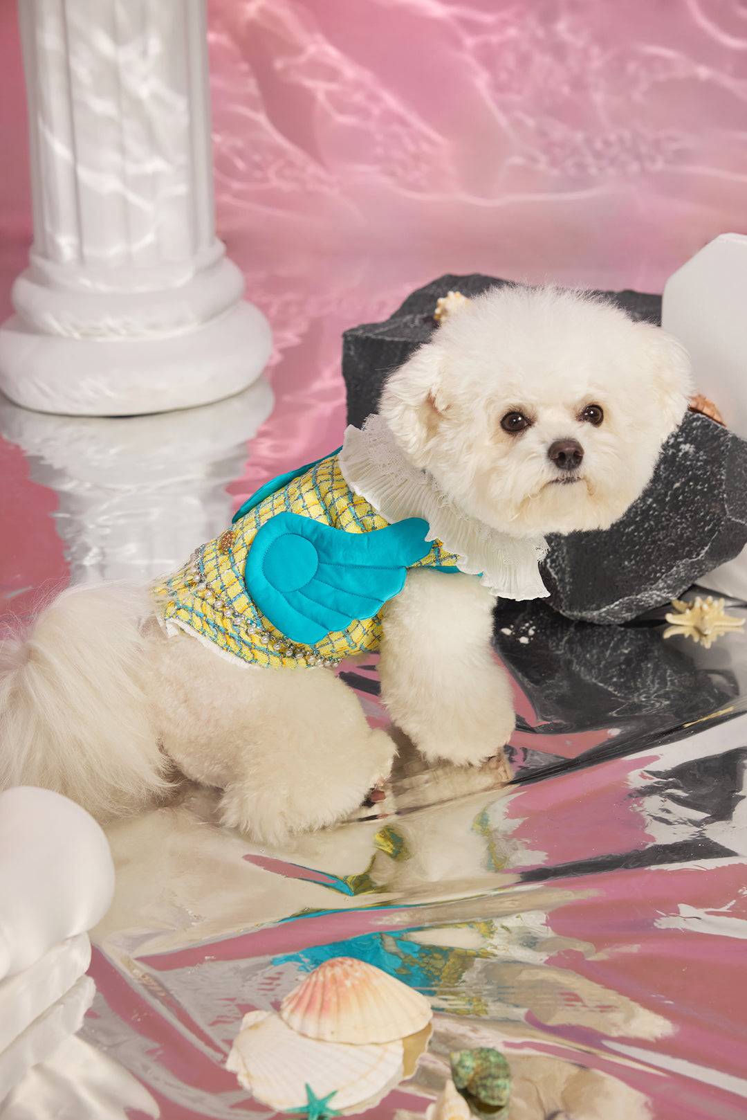 Yellow Tweed & Winged Speed Detail Petwear｜COZY-EVER