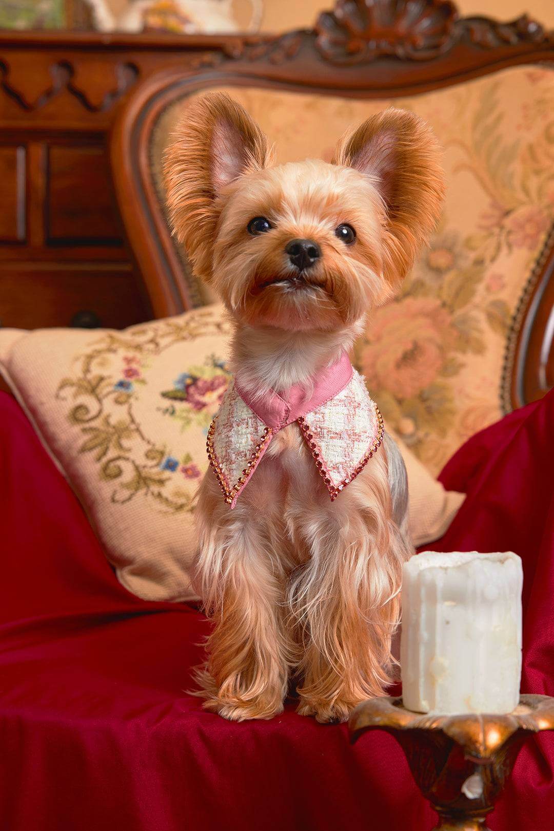 The Gilded Age Alice Pet Bib – Pink Rhinestones & Tweed Elegance - COZY-EVER
