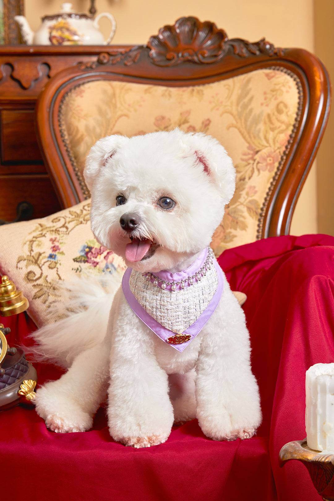 The Gilded Age South French Pet Bib – Tweed & Pearl Elegance - COZY-EVER