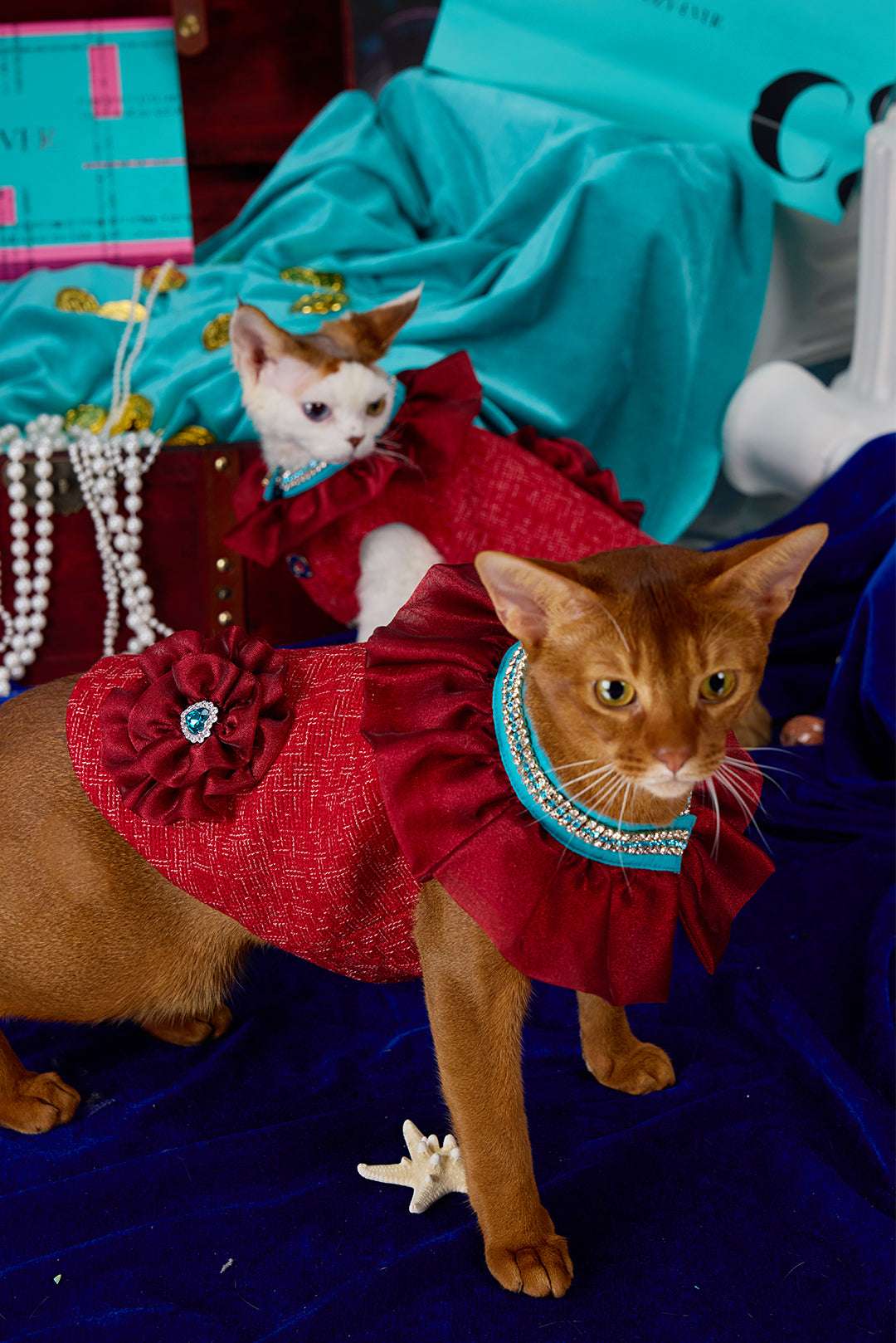 Red Tweed & Lace Floral Trim Petwear｜COZY-EVER