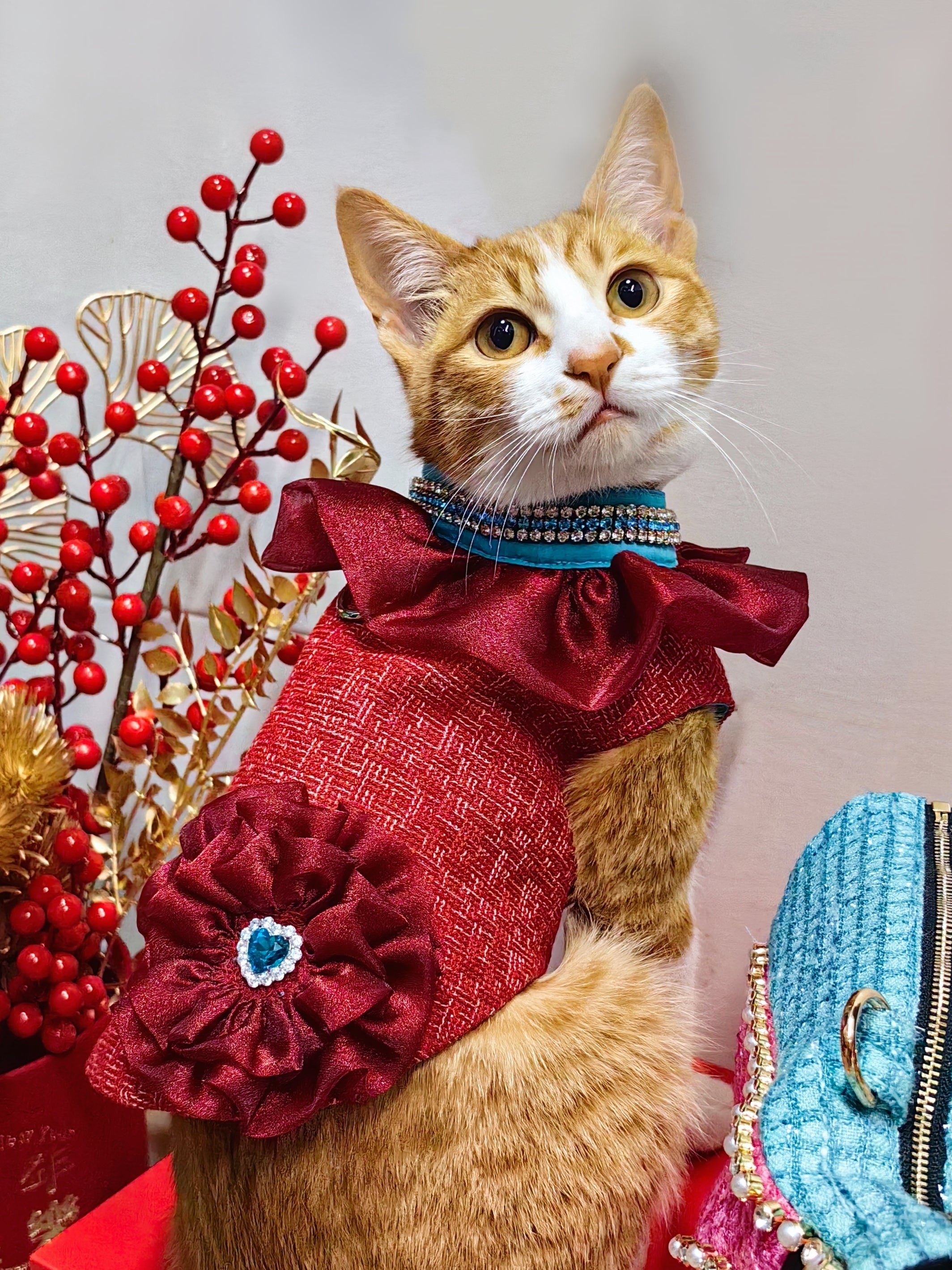 The Atlantis Eternal Love Pet Clothing - Red Tweed & Lace Floral Trim