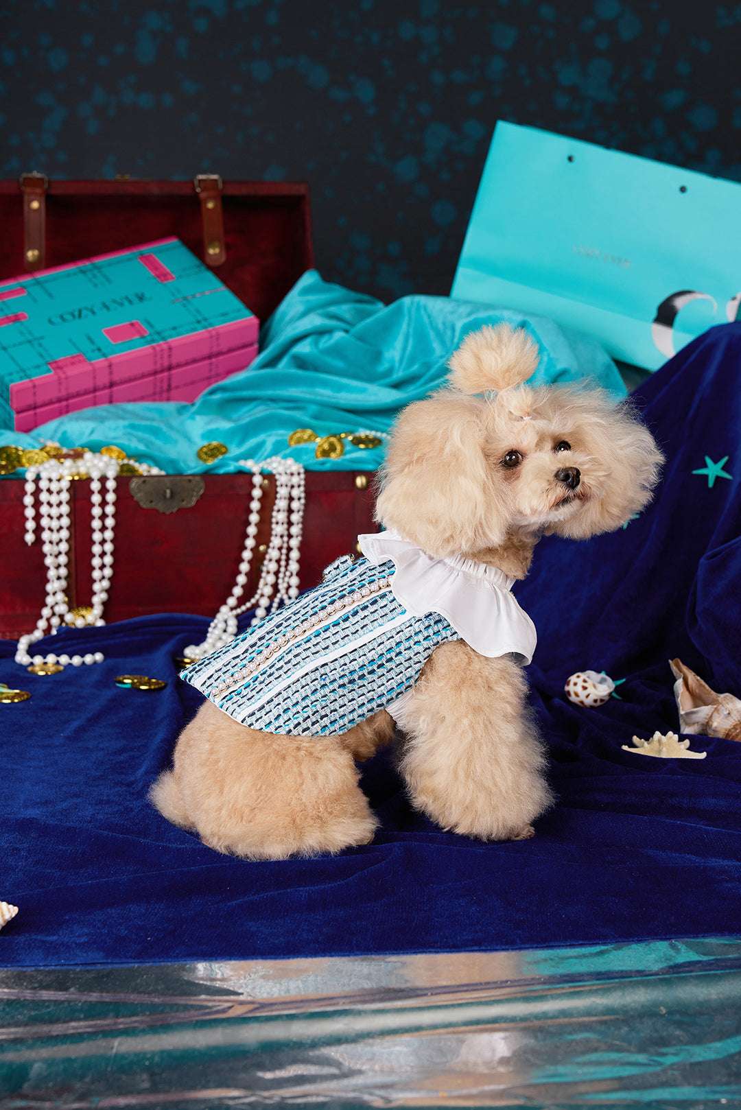 Scaly Tweed & Ruffled Collar Design Petwear｜COZY-EVER