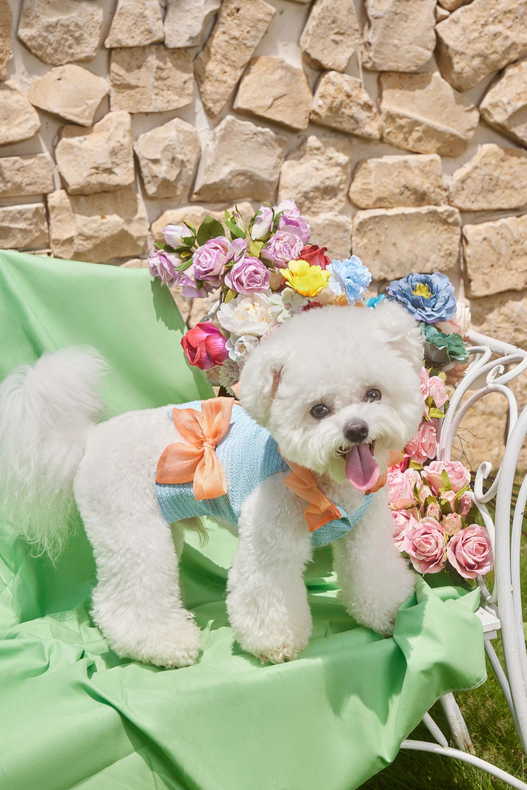 The Romantic Garden・Orange Tail Princess - COZY-EVER
