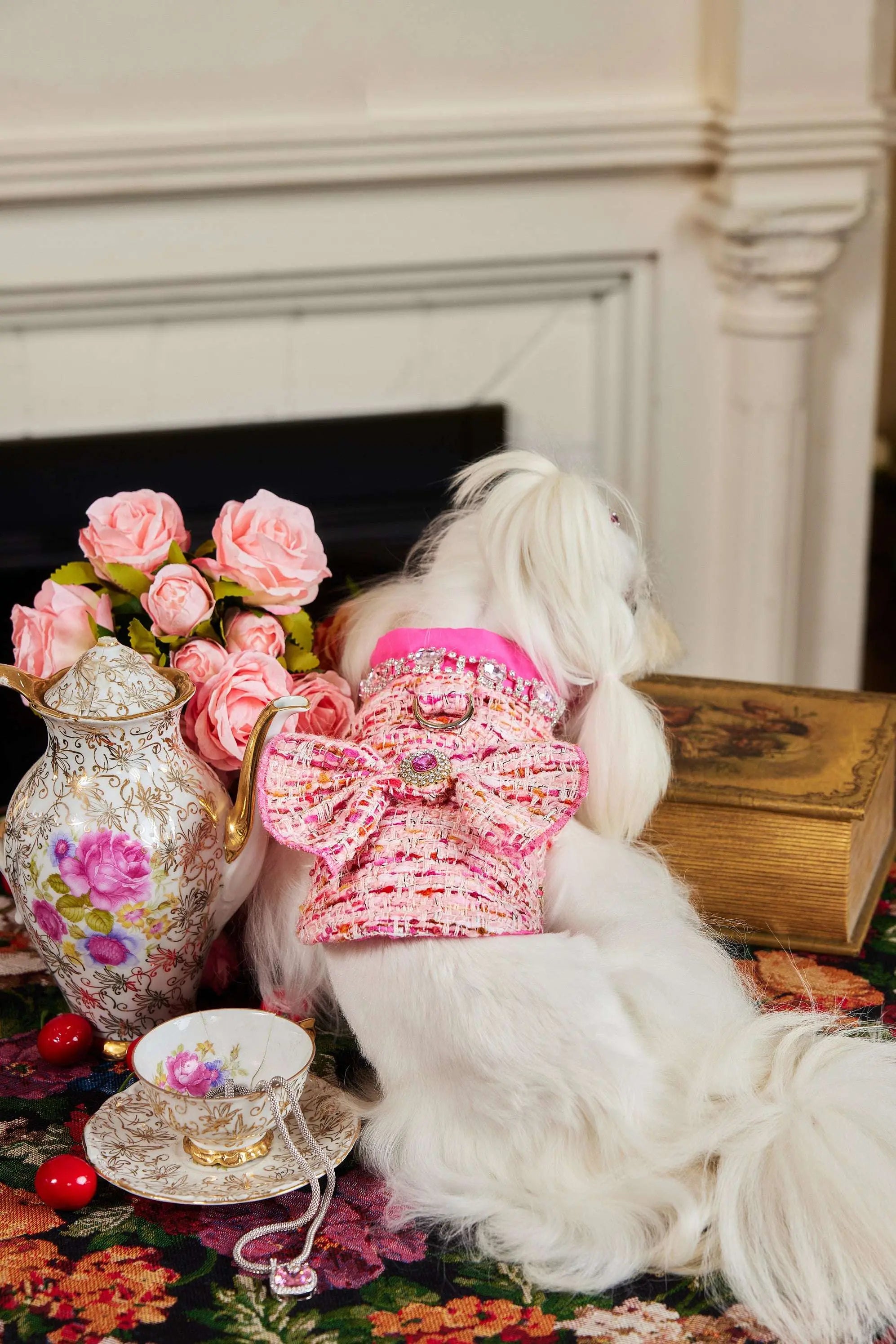 The Gilded Age・Beautiful Dream - COZY-EVER
