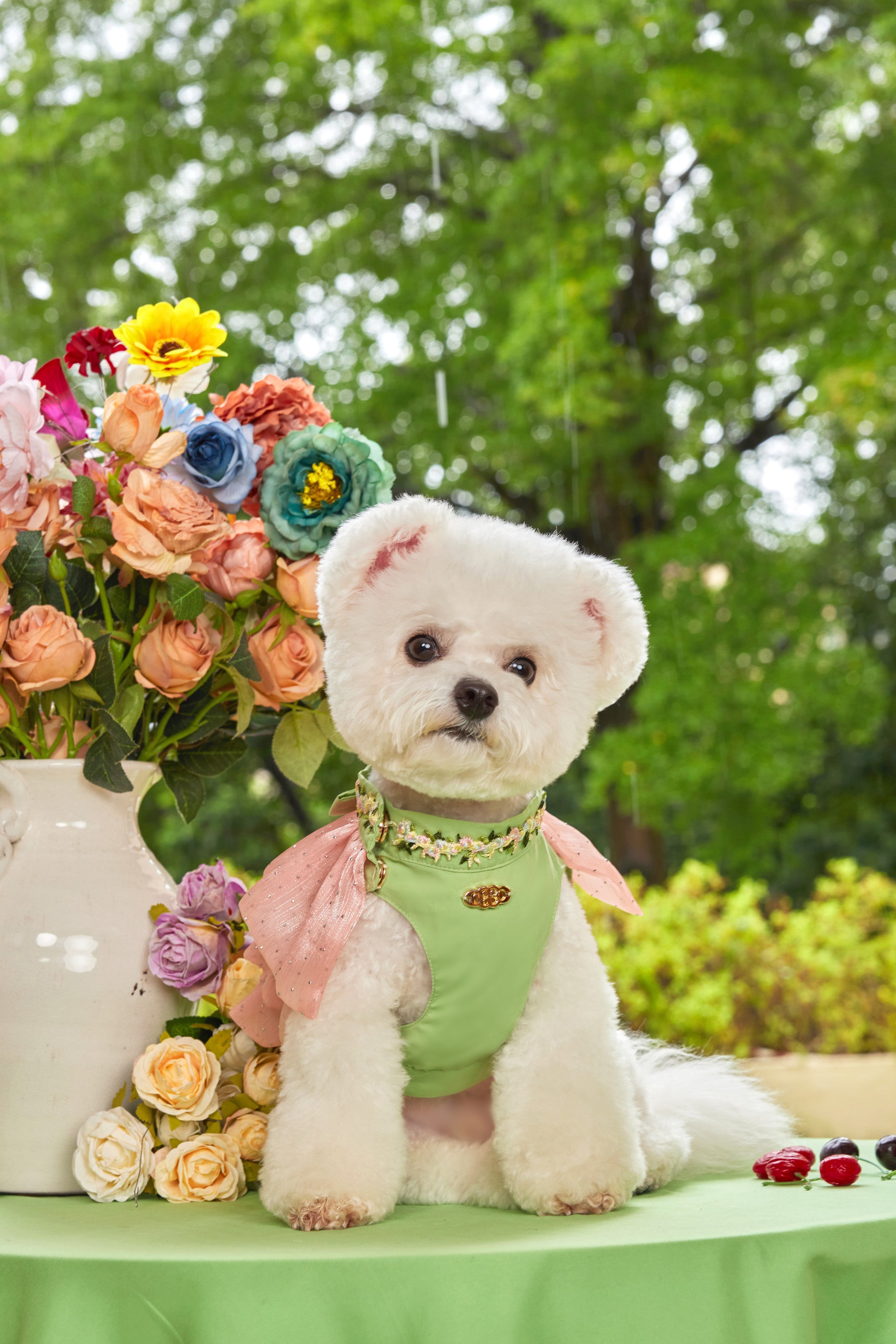 The Romantic Garden・Eden's Dream