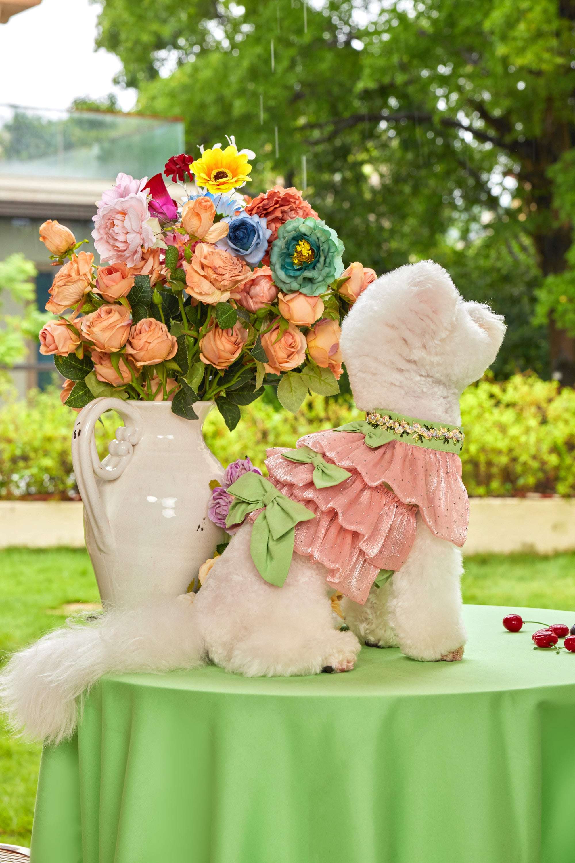 The Romantic Garden・Eden's Dream - COZY-EVER