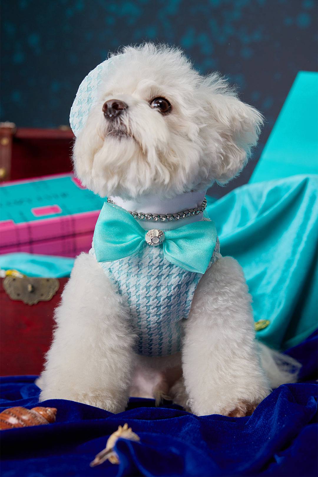 Clear Blue Tweed & Shimmering Ripple Petwear｜COZY-EVER