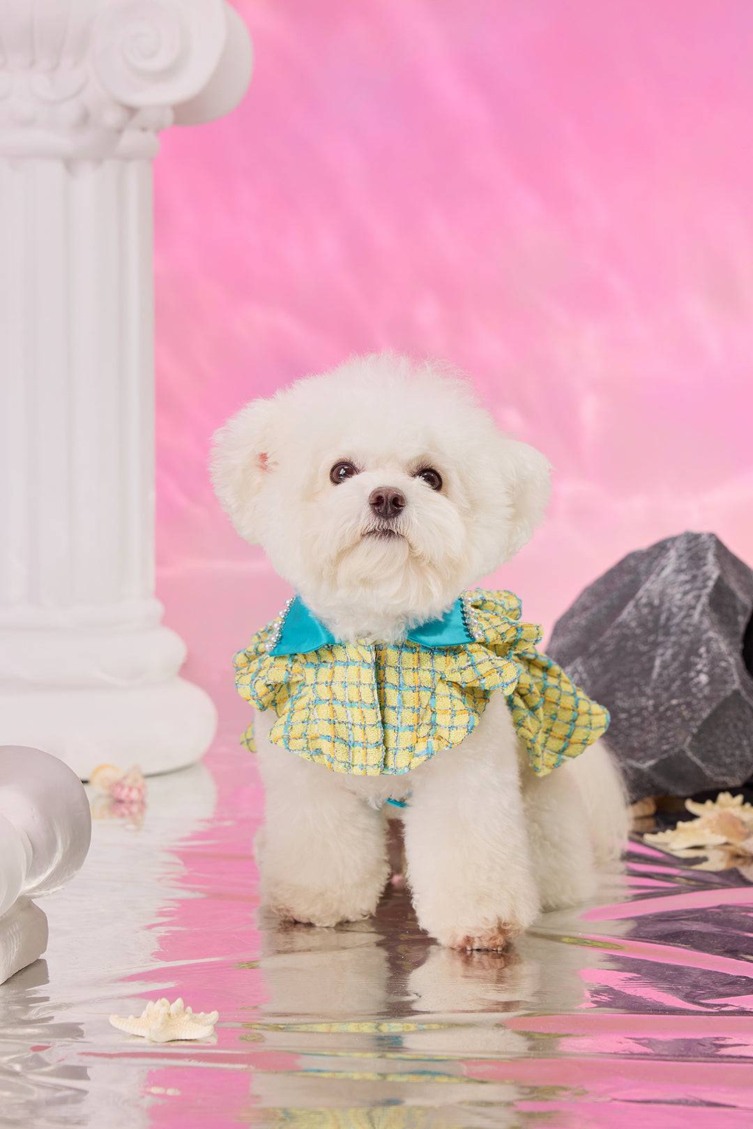 Yellow Tweed & Cape Robe Design Petwear｜COZY-EVER